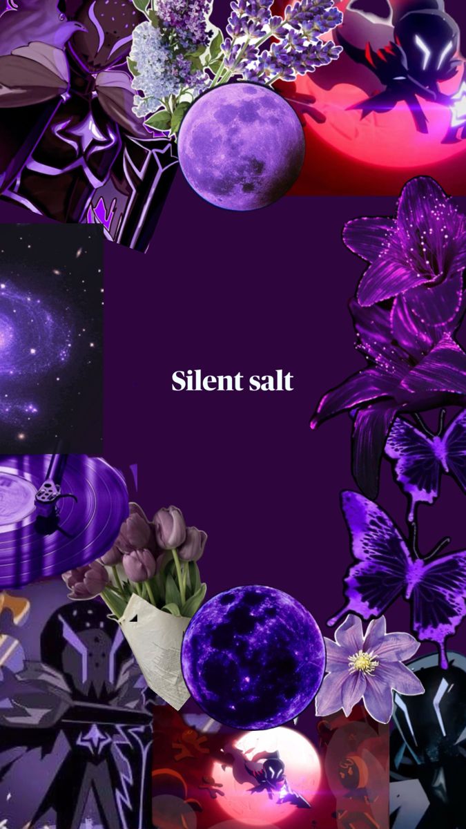 Silent Salt trong 2025
