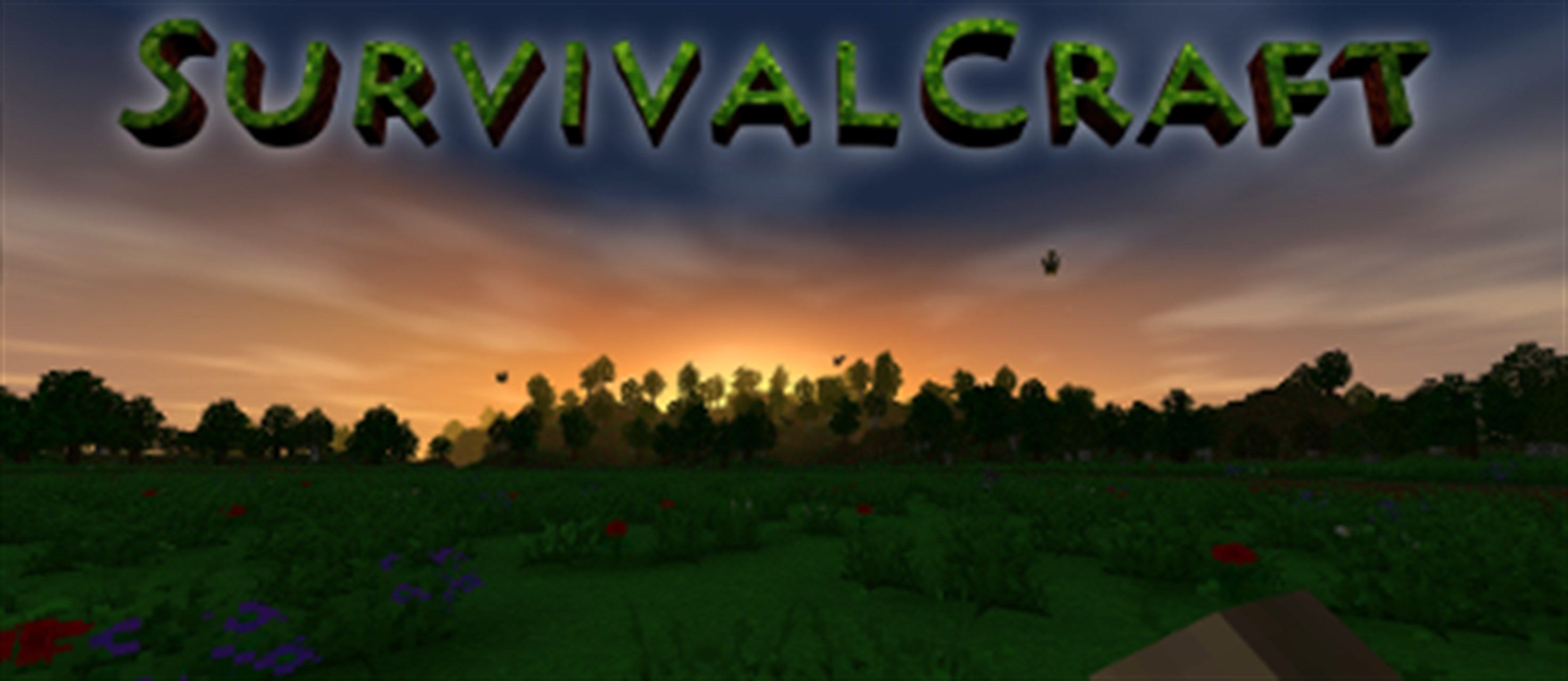 Survivalcraft and play on Windows