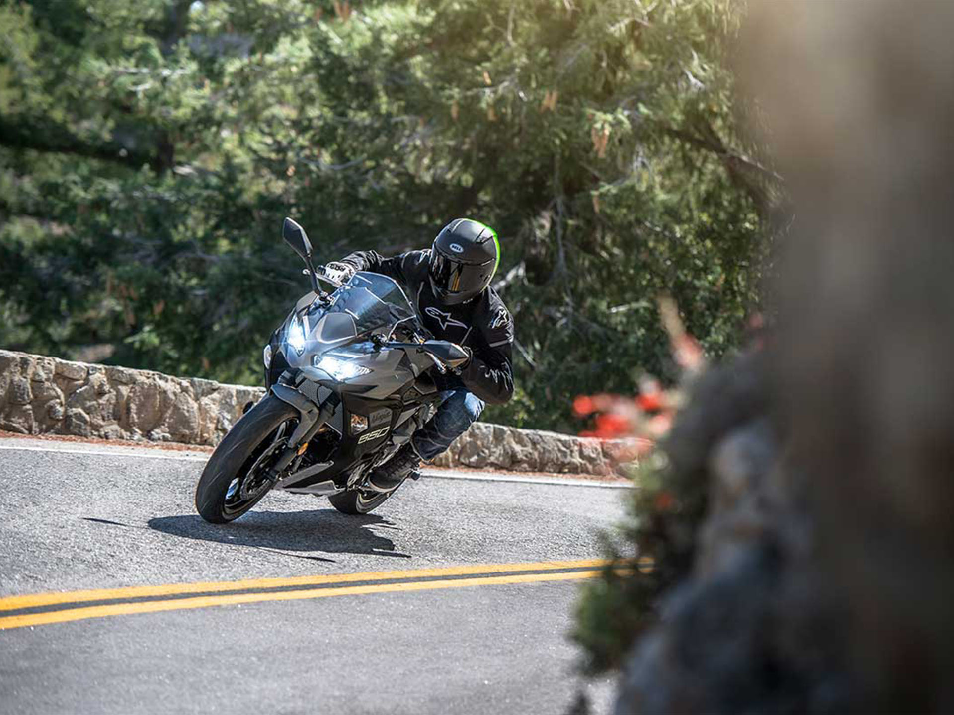 New 2024 Kawasaki Ninja 650 Metallic Matte Covert Green / Metallic Spark Black / Pearl Sand Khaki. Motorcycles in San Jose CA