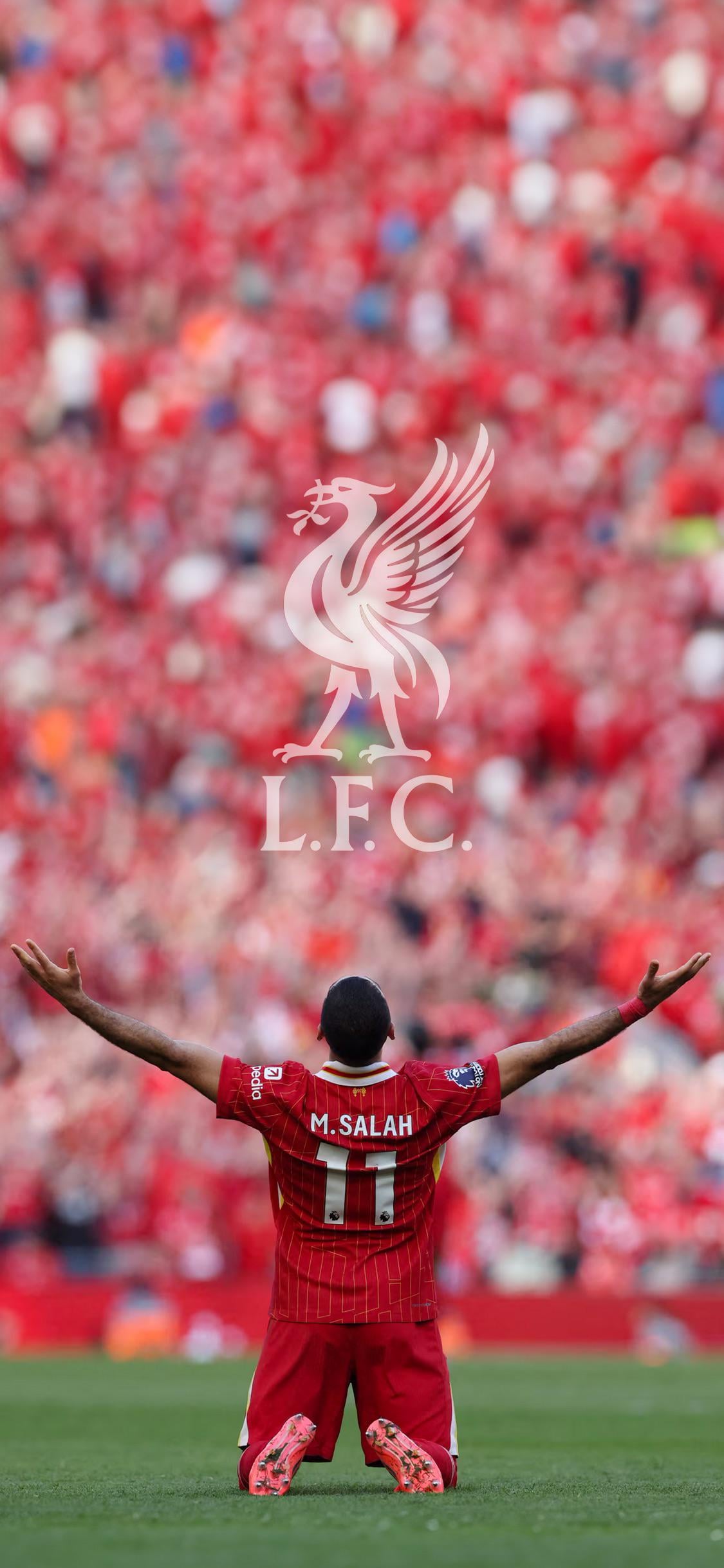 Made a wallpaper of our Egyptian King