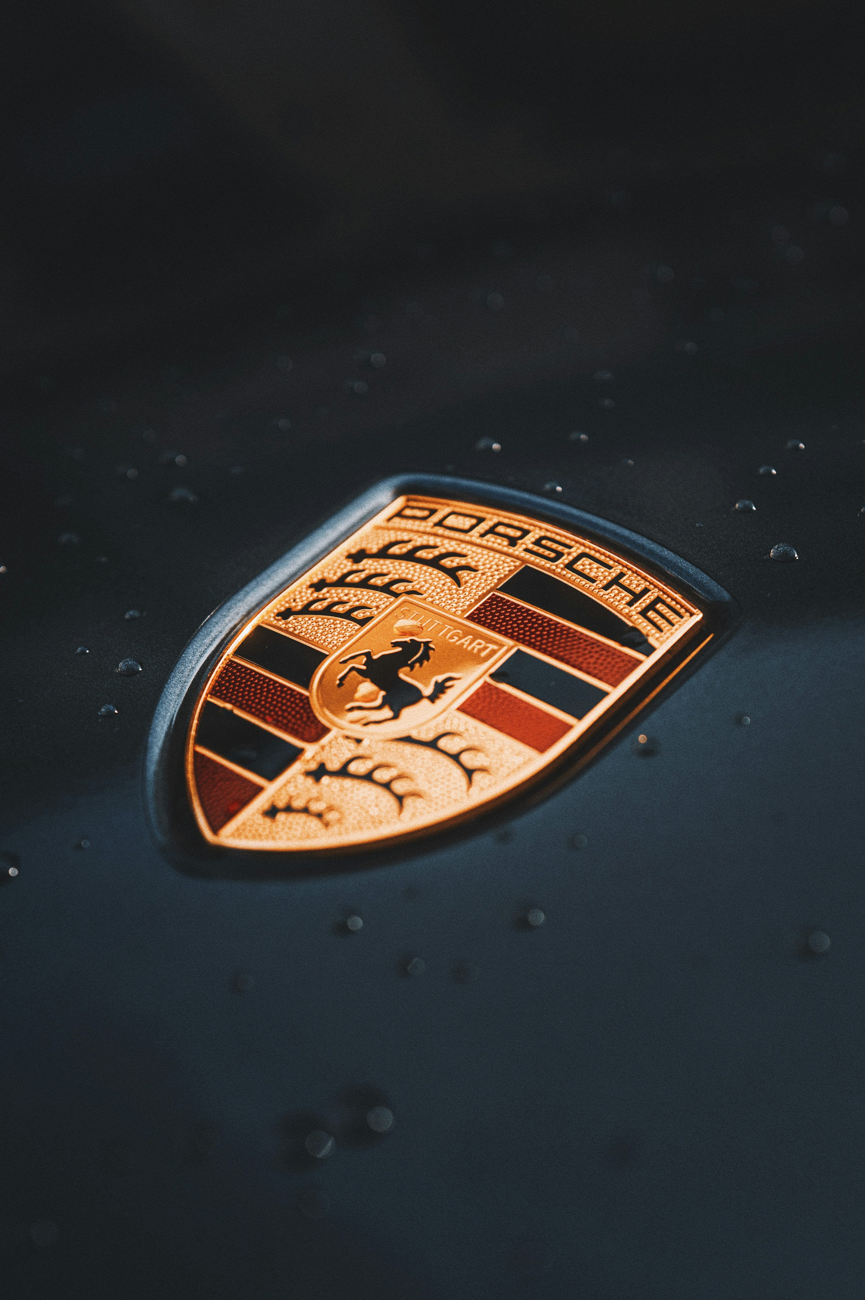 A close up of a porsche emblem on a car photo