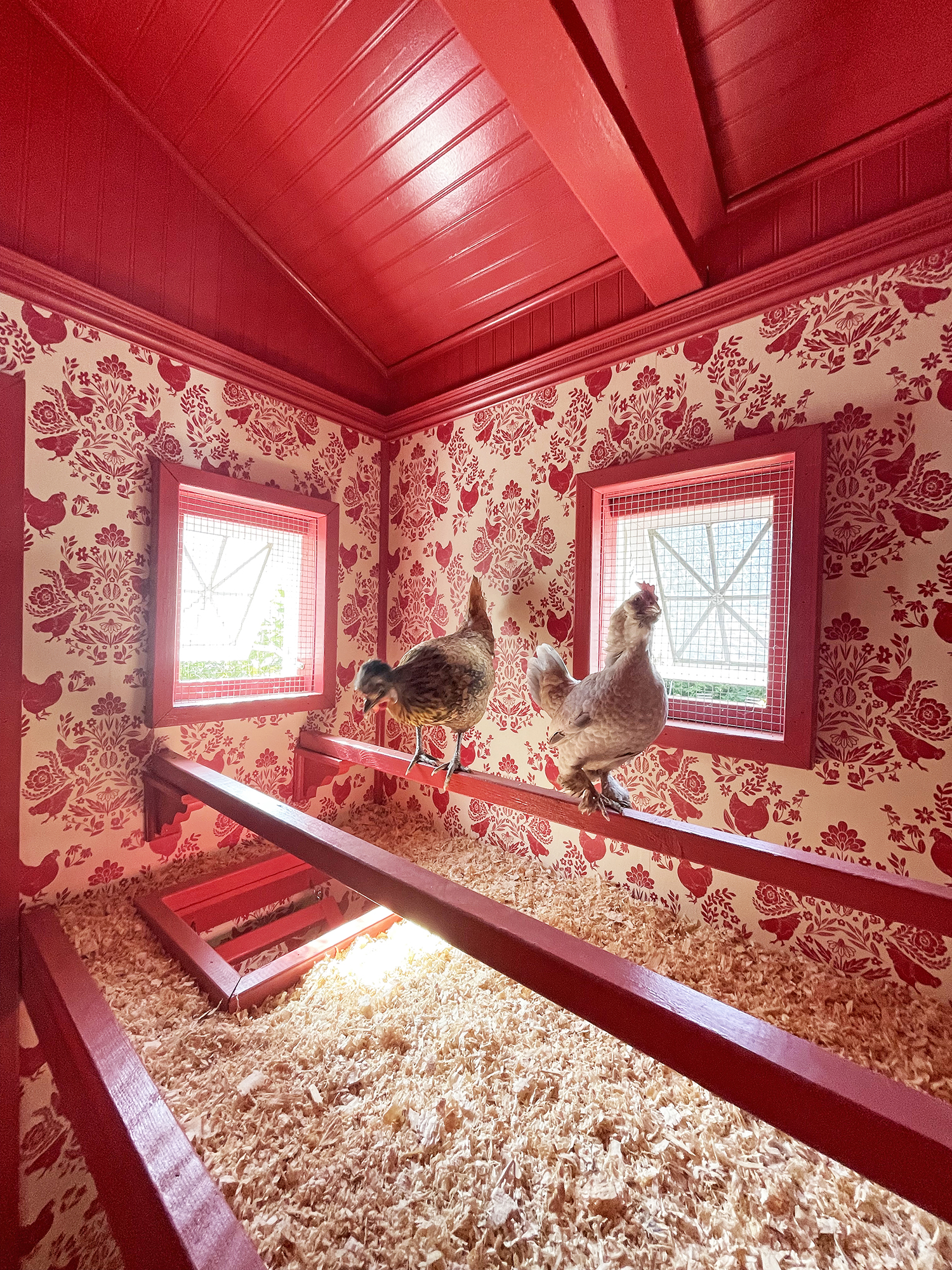 How to Design the Chicest Chicken Coop in Your Backyard