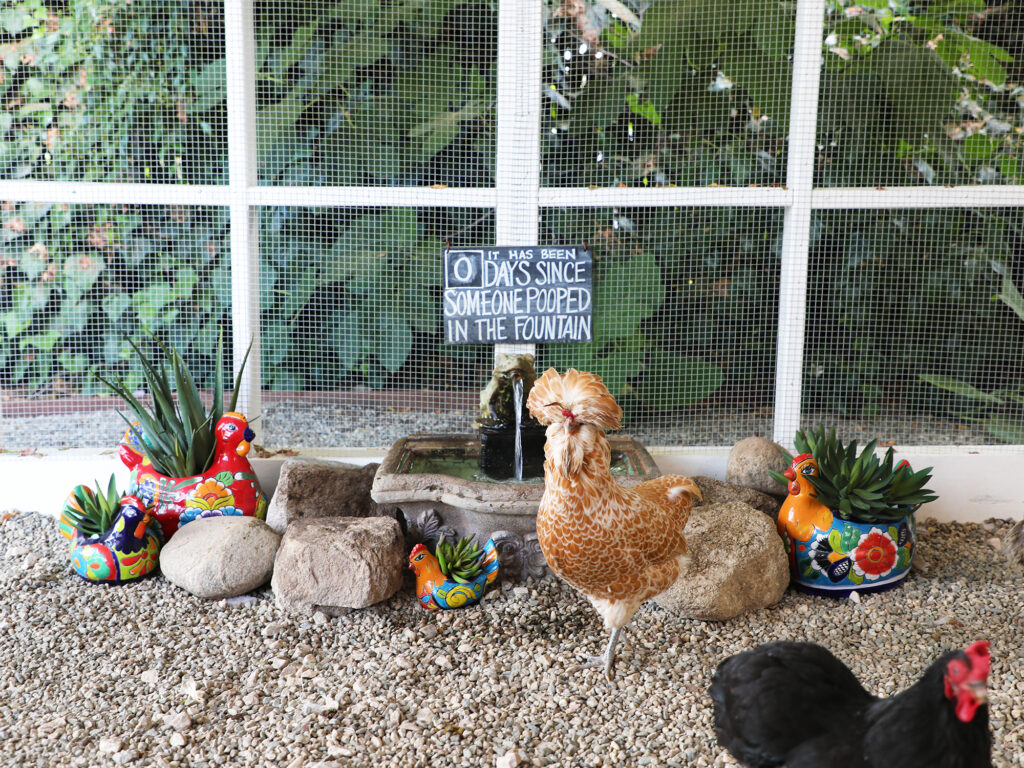 How to Design the Chicest Chicken Coop in Your Backyard