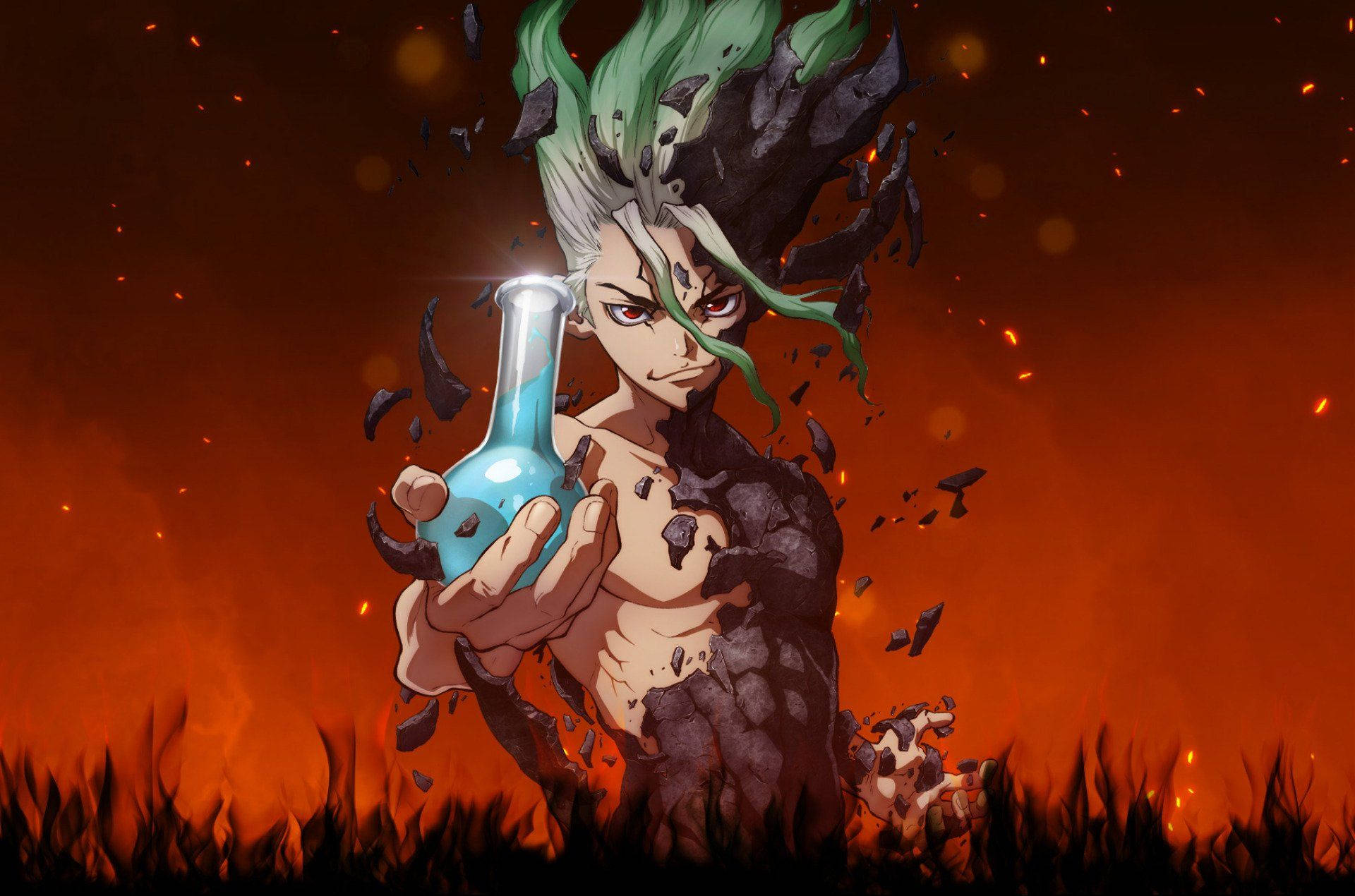 Dr Stone Picture