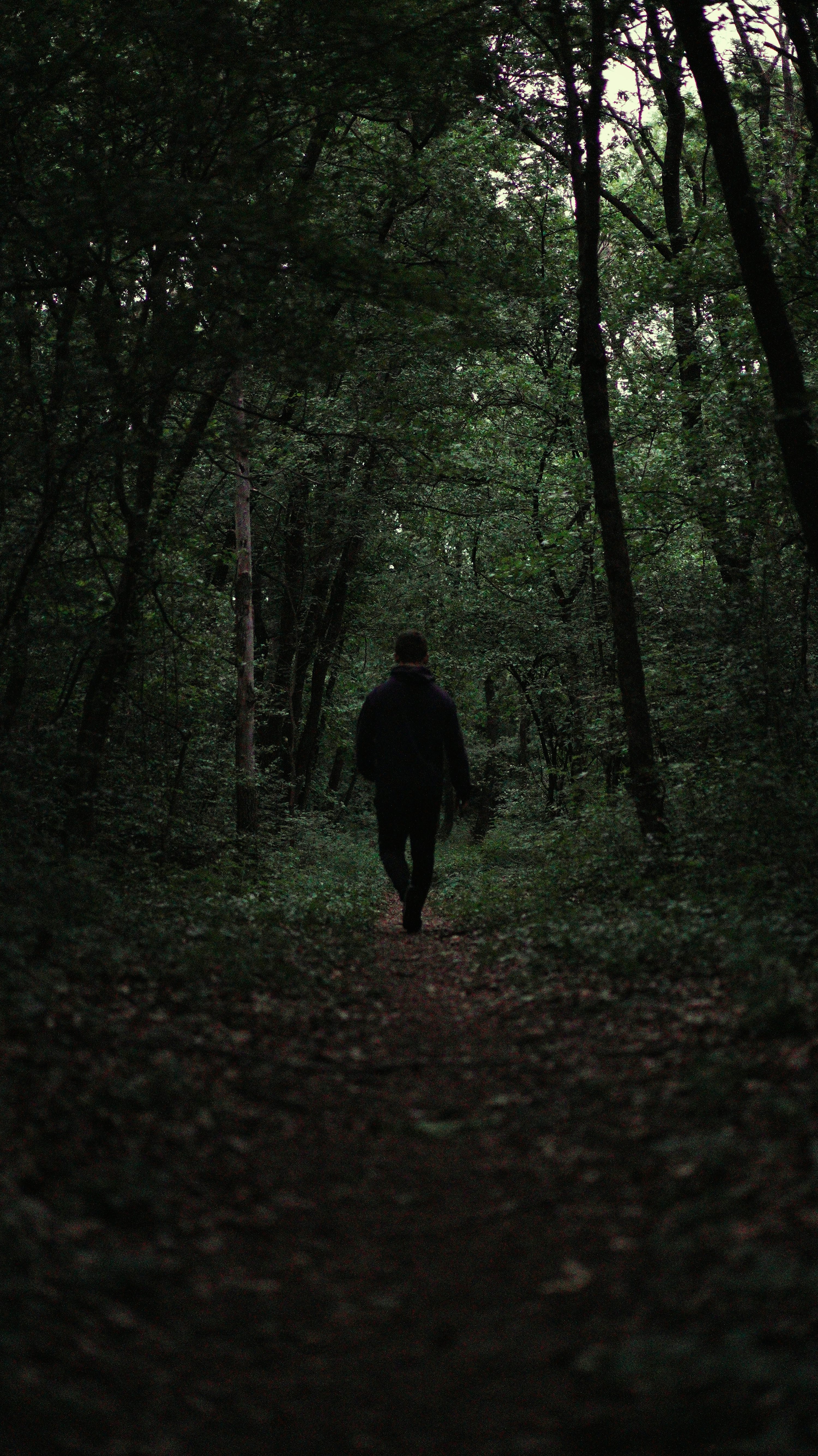 Sad Nature Picture. Download Free Image