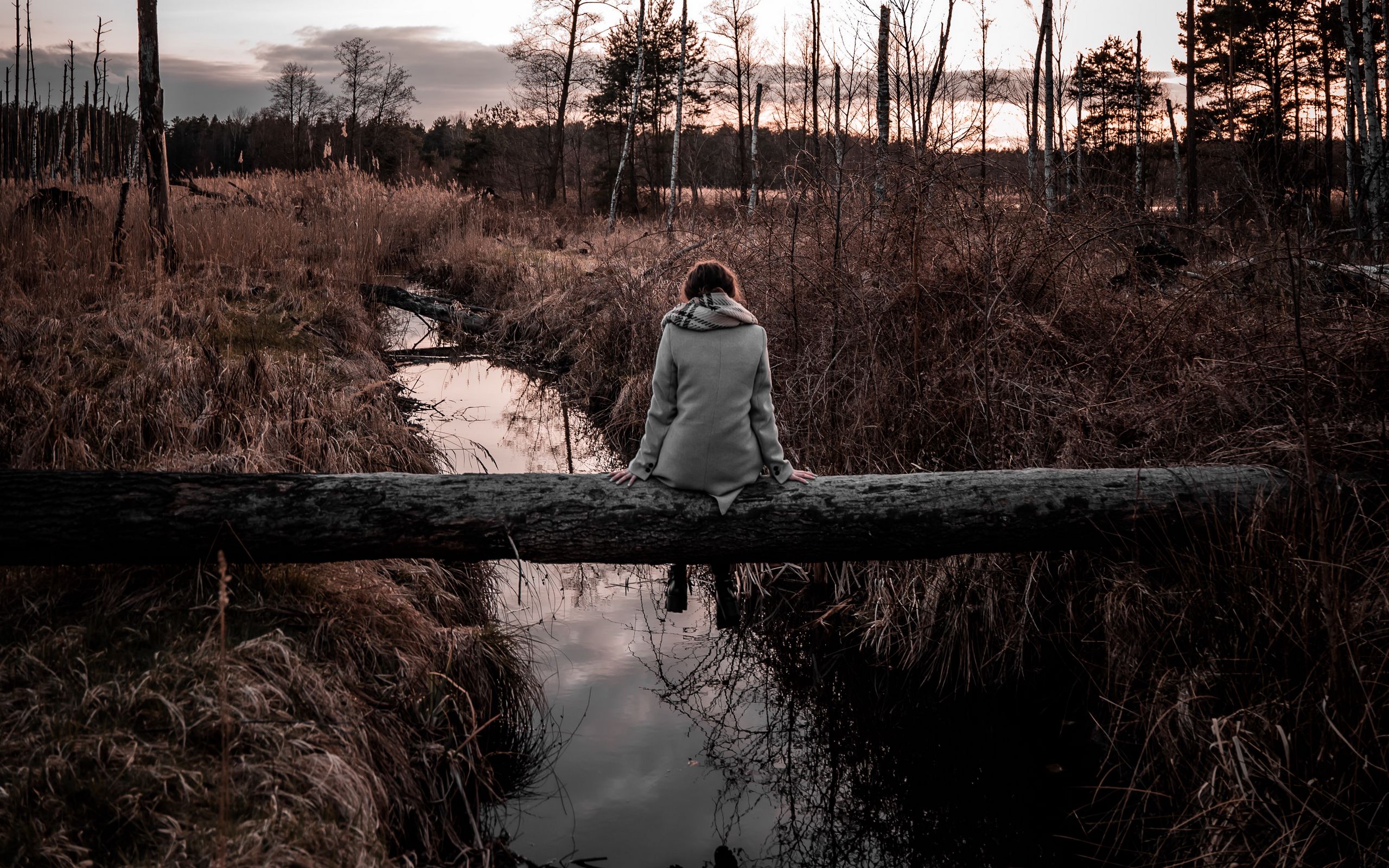 Download wallpaper 2560x1600 human, alone, sad, log, stream, nature widescreen 16:10 HD background