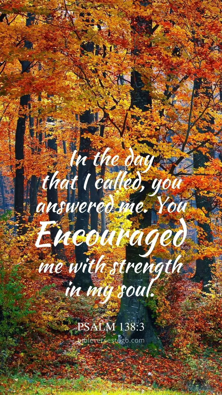 Autumn Woods Psalm 138:3