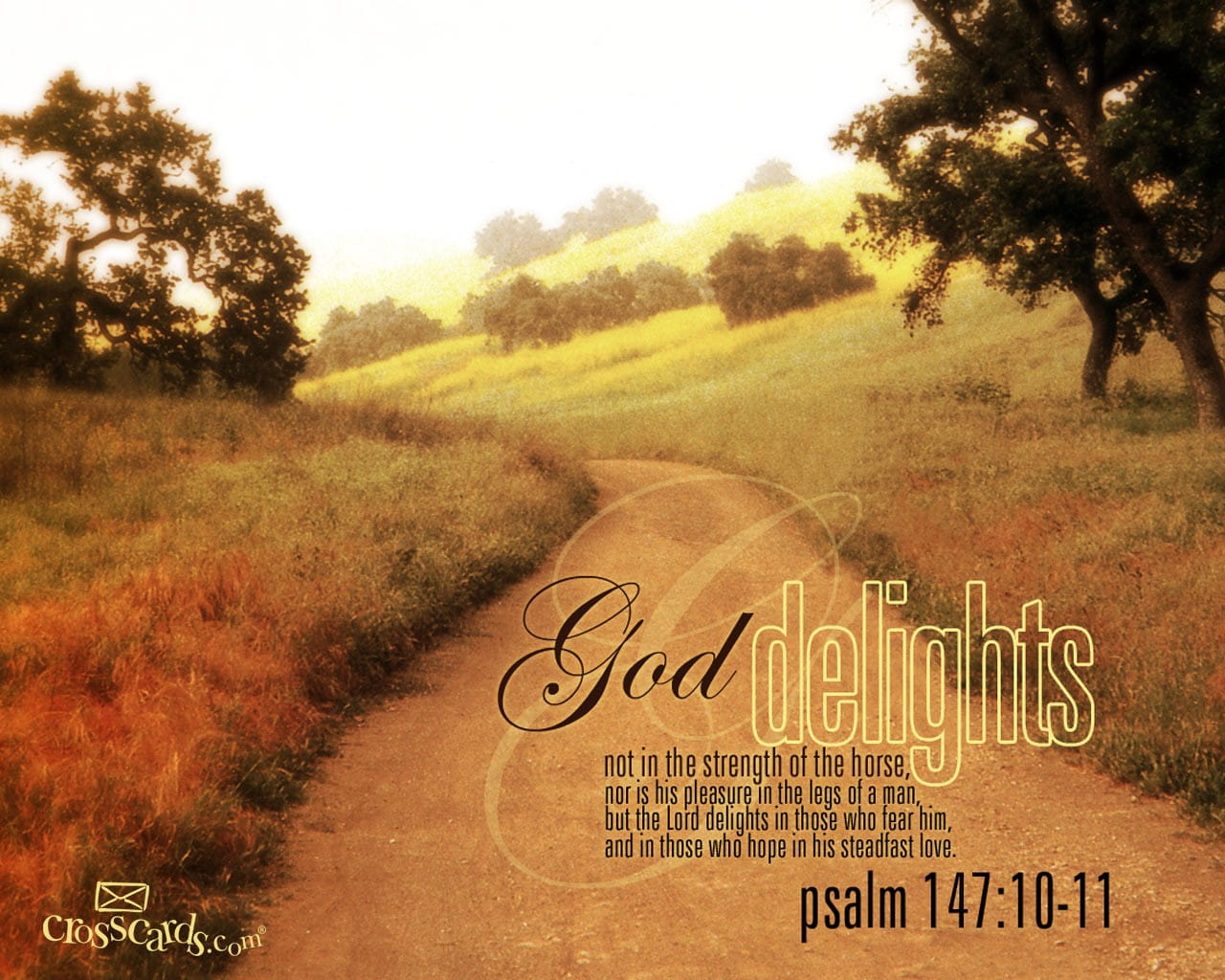 God Delights Verses and Scripture Wallpaper for Phone or Computer