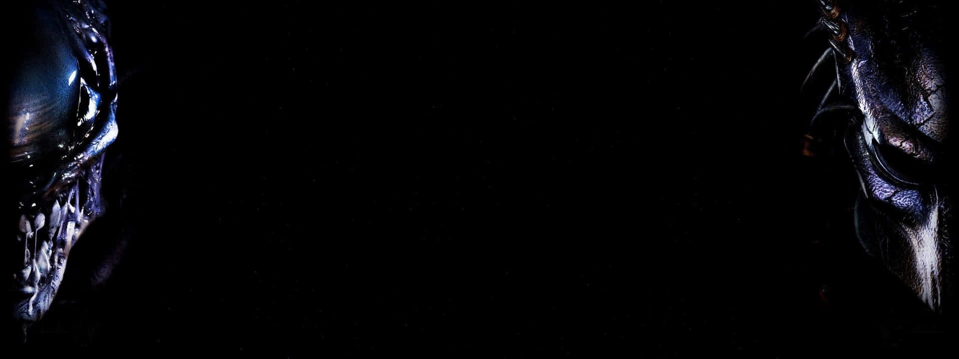 Download Alien And Predator Cool Dual Monitor Wallpaper