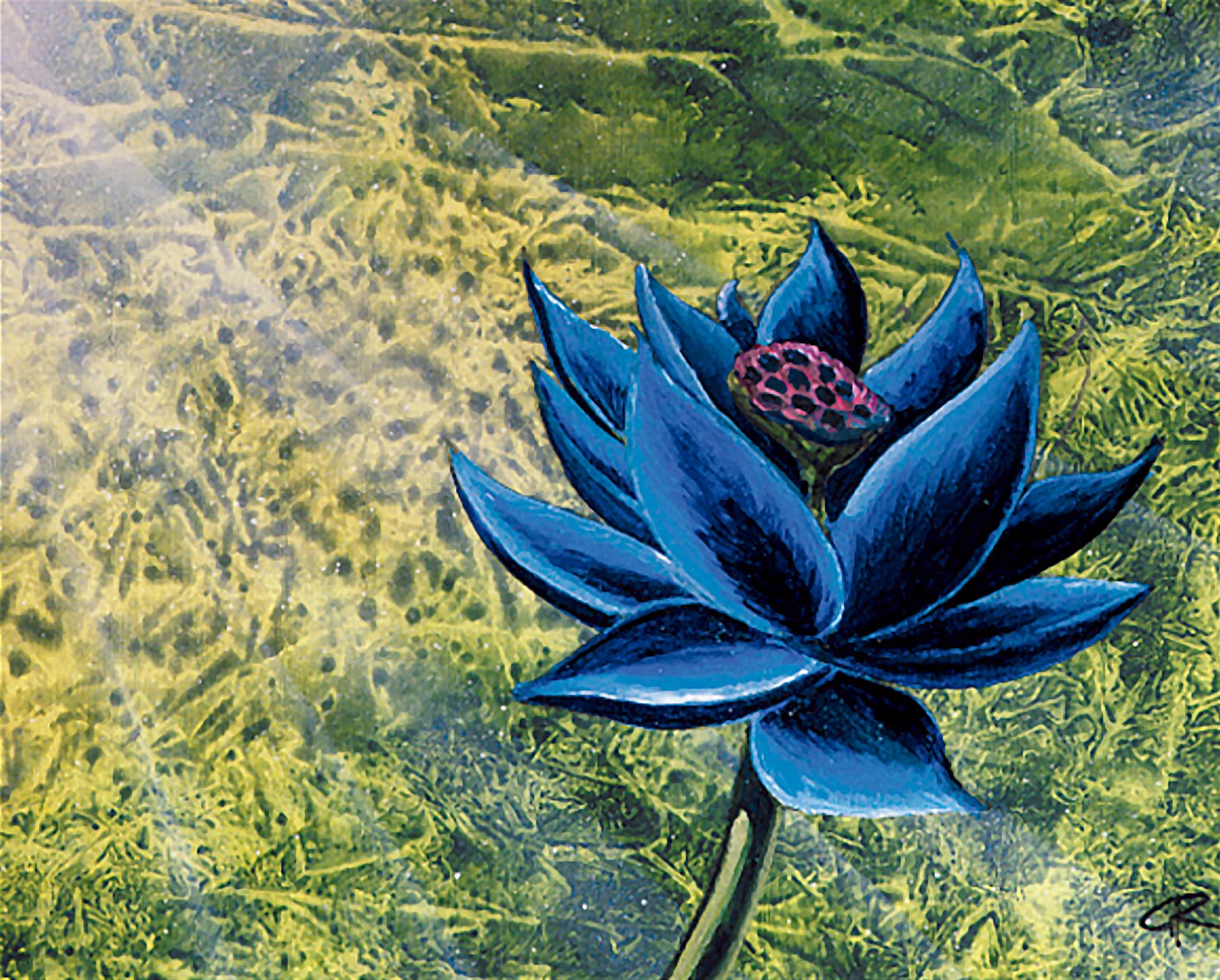 The exclusive official screenprint of Black Lotus. Cook and Becker