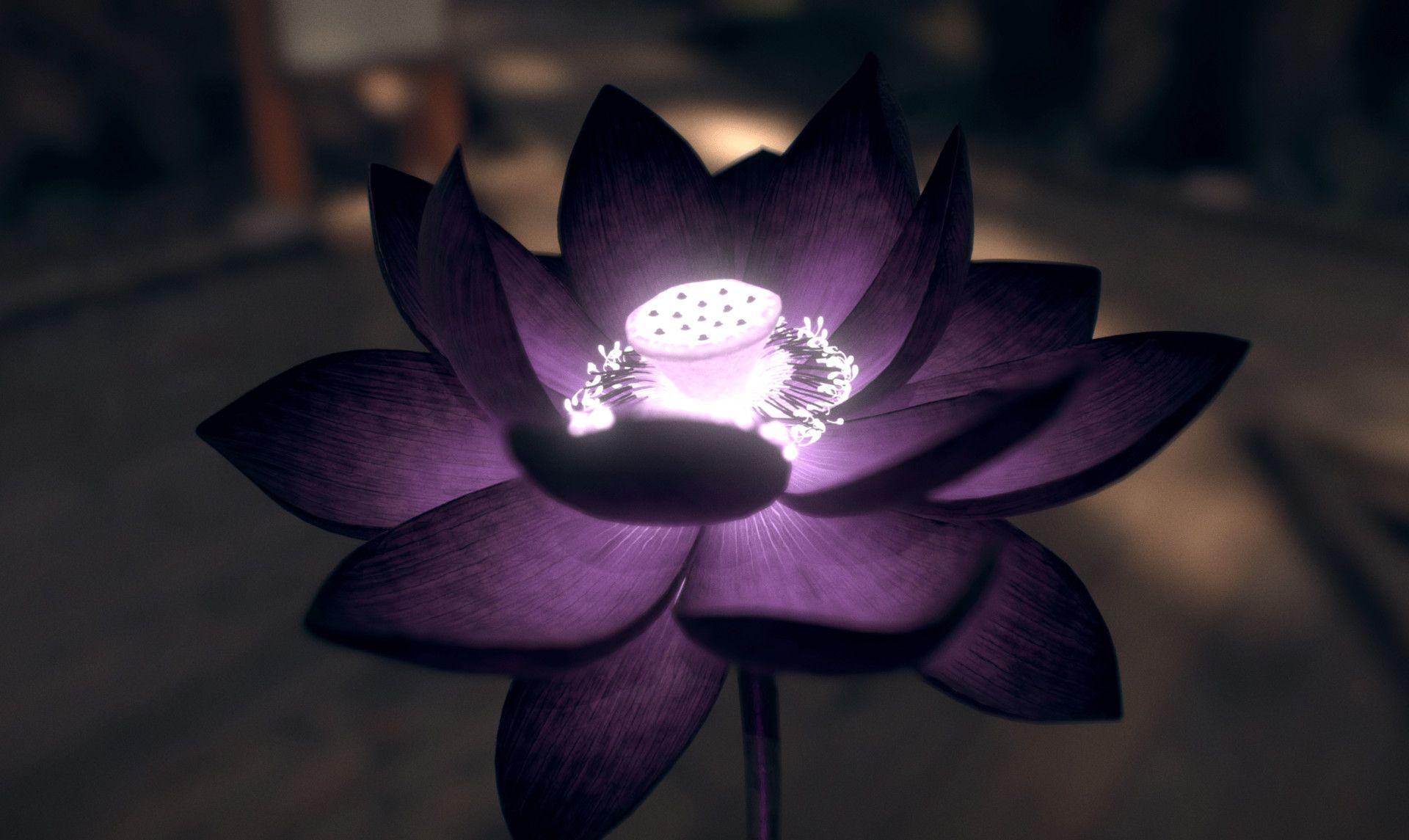 Black Lotus