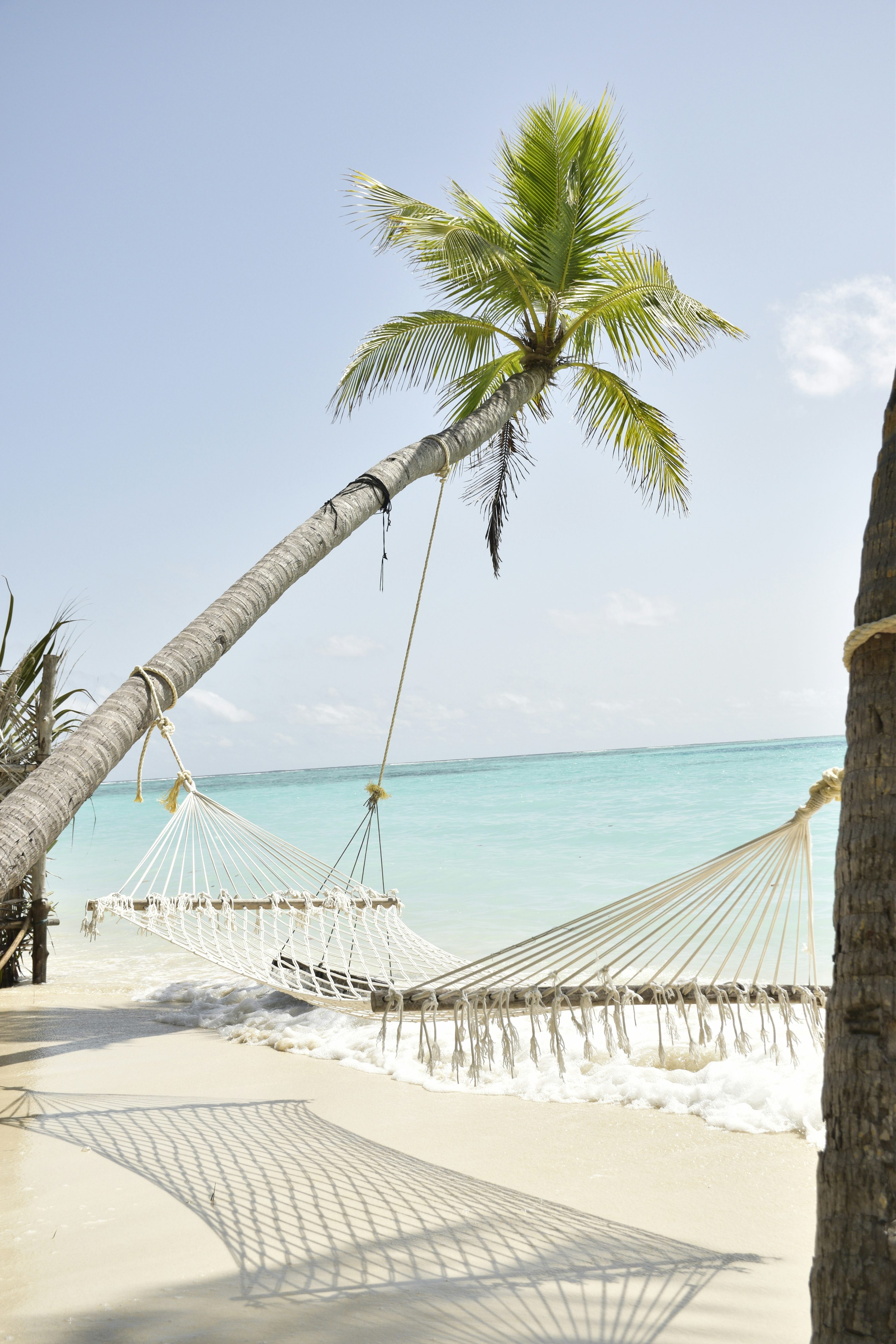 Beach Hammock Picture. Download Free Image