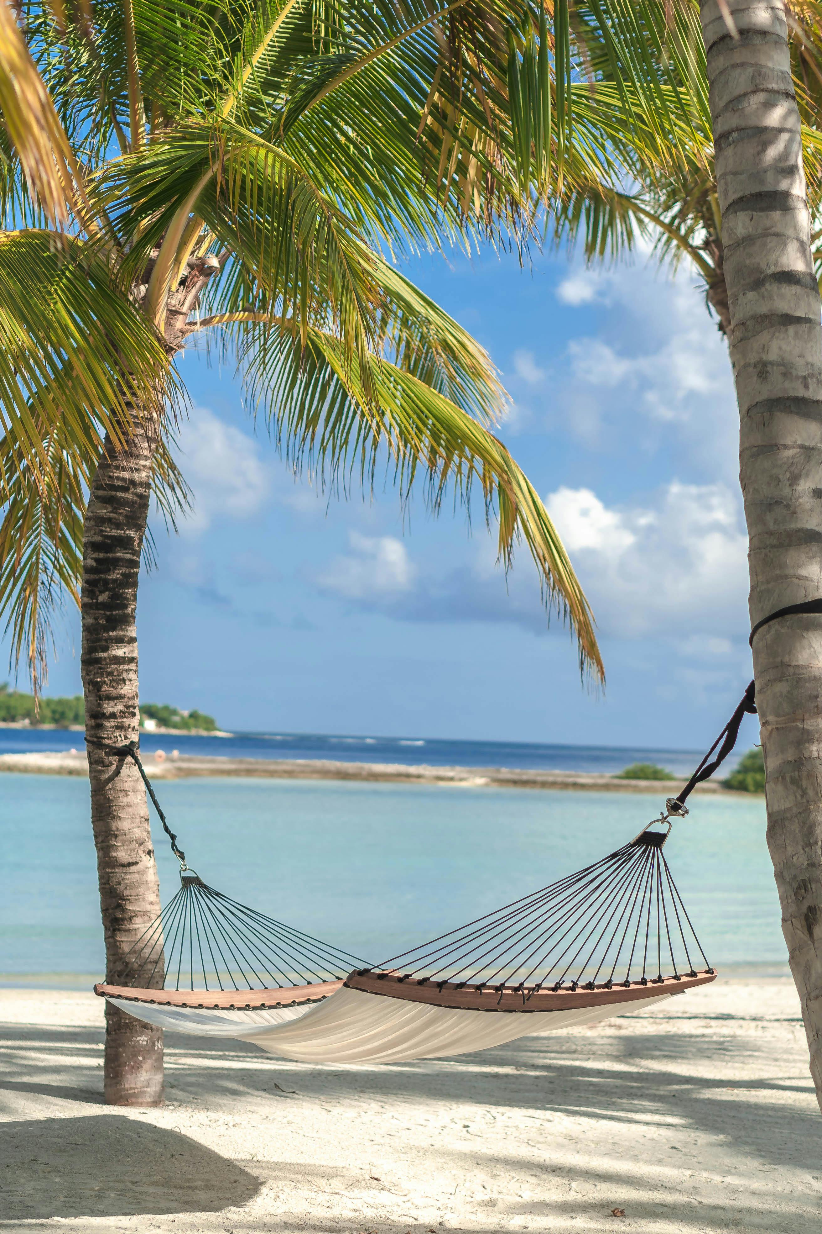 A Hammock on a Beach · Free