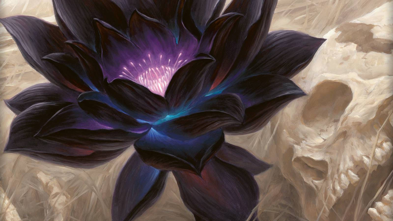 Magic: The Gathering's Black Lotus sells for $100