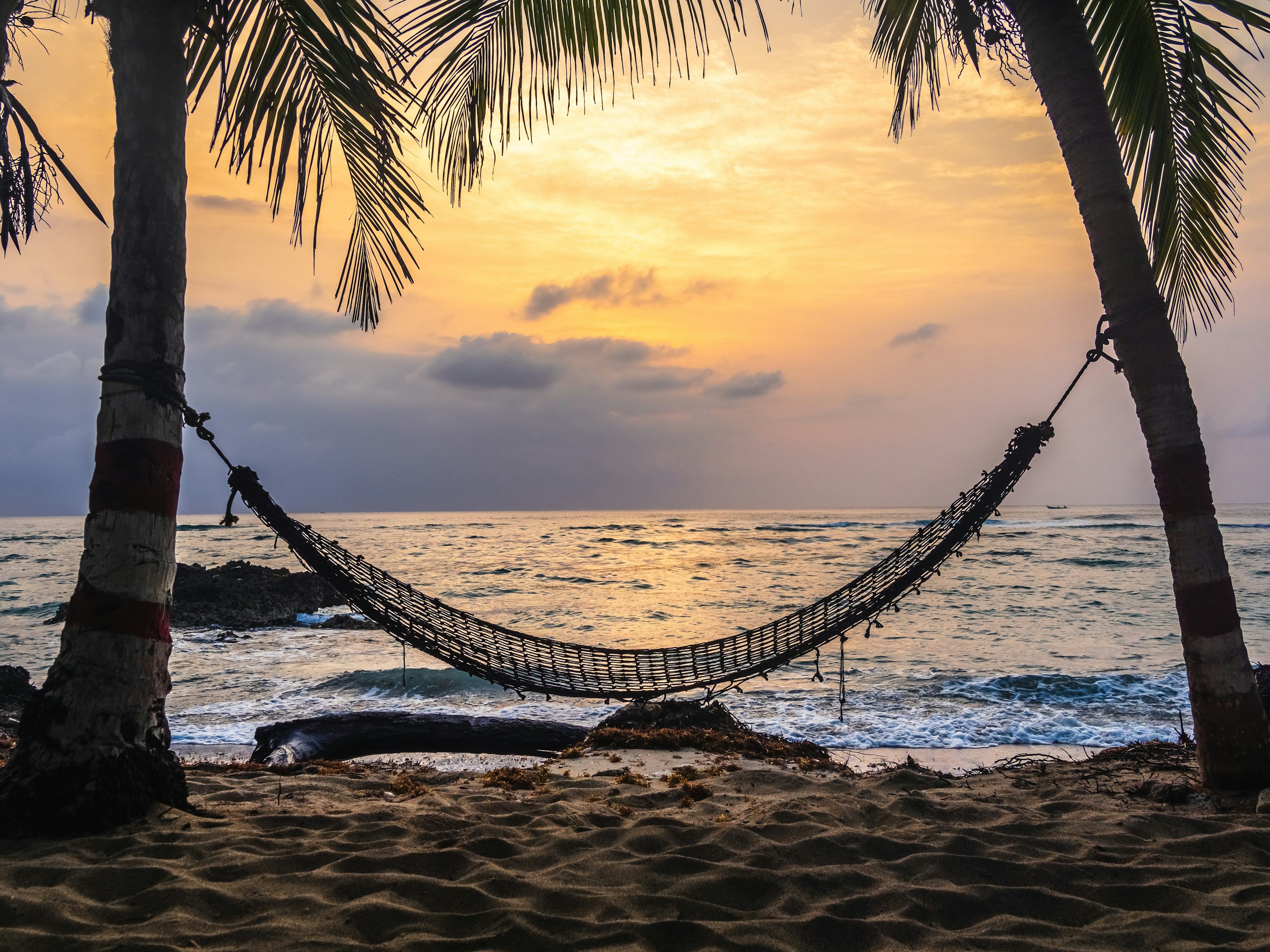 Hammock Picture. Download Free Image