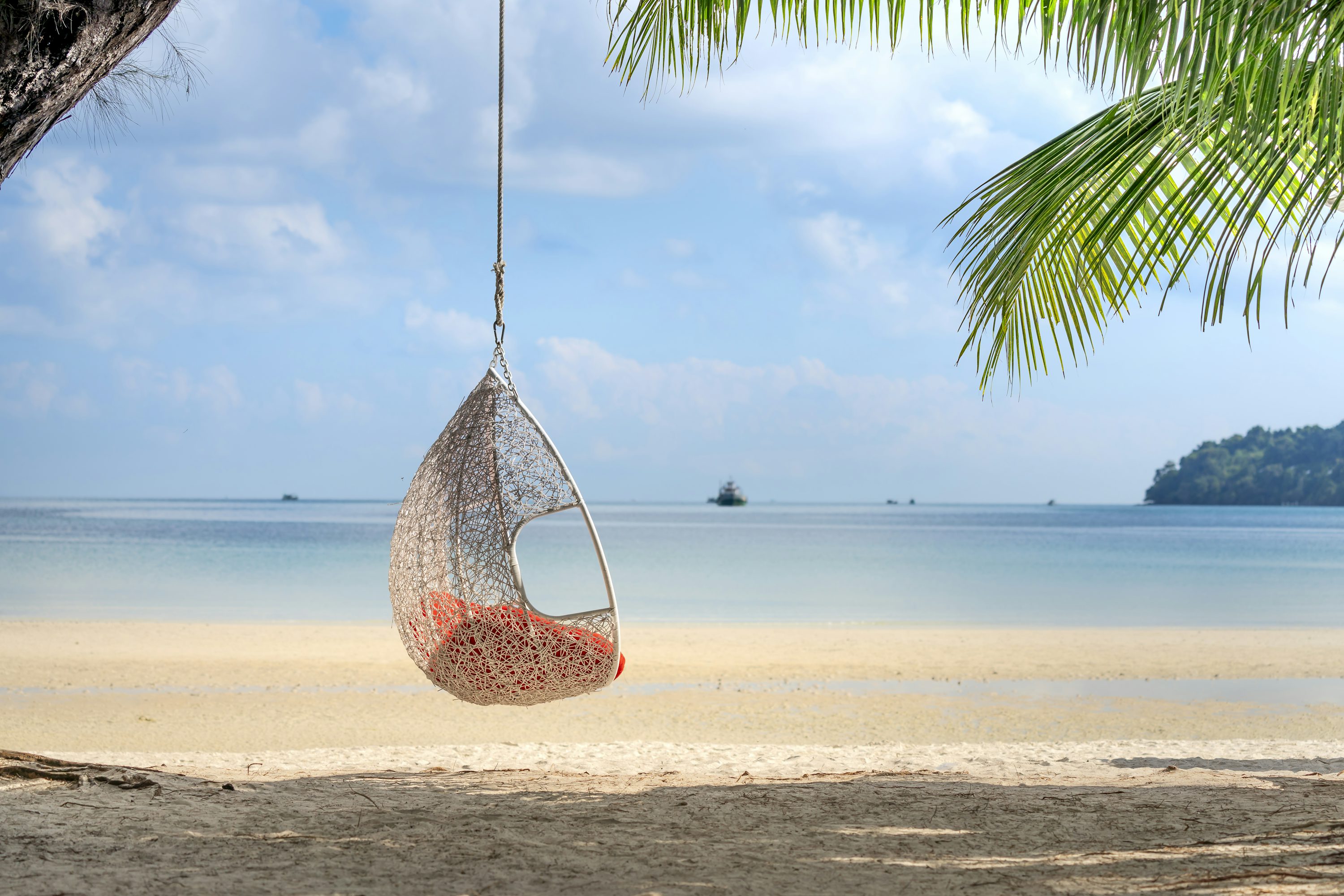 A hammock hanging from a palm tree on a beach photo