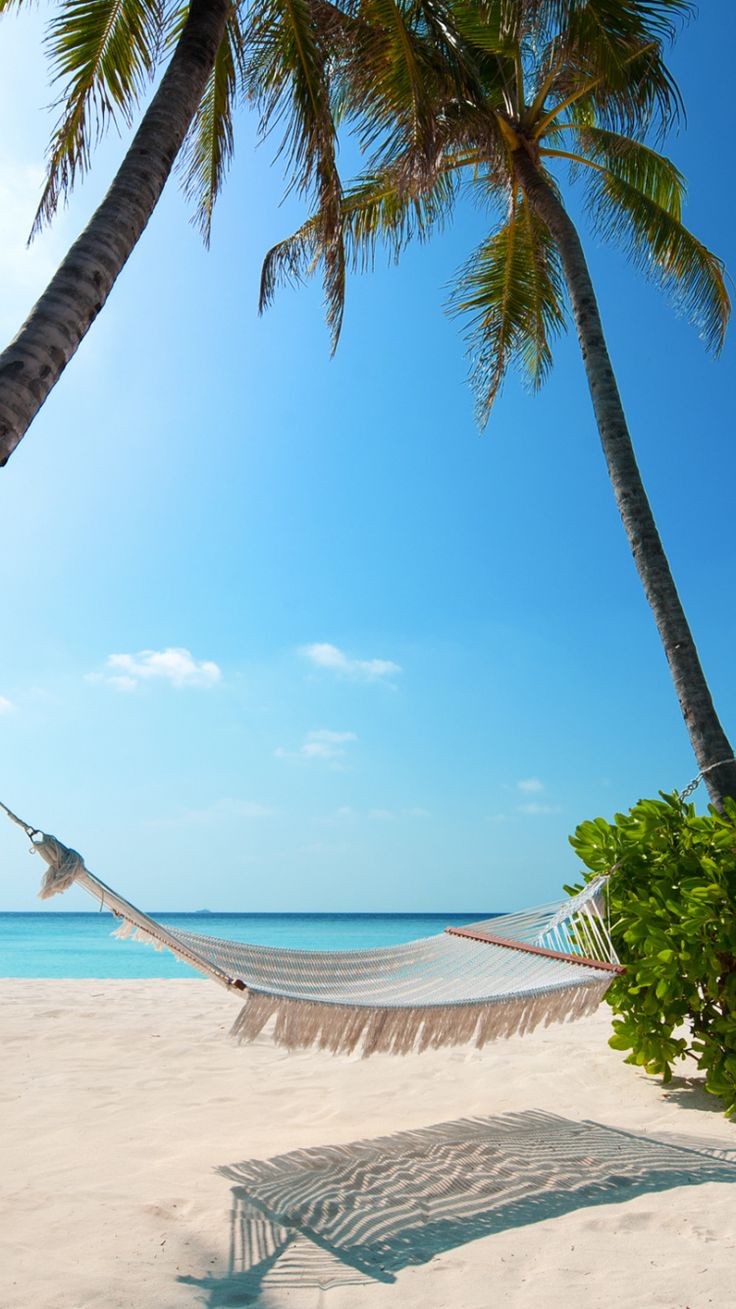 Beach, holiday, summer, palm trees, Island, 750x1334 wallpaper