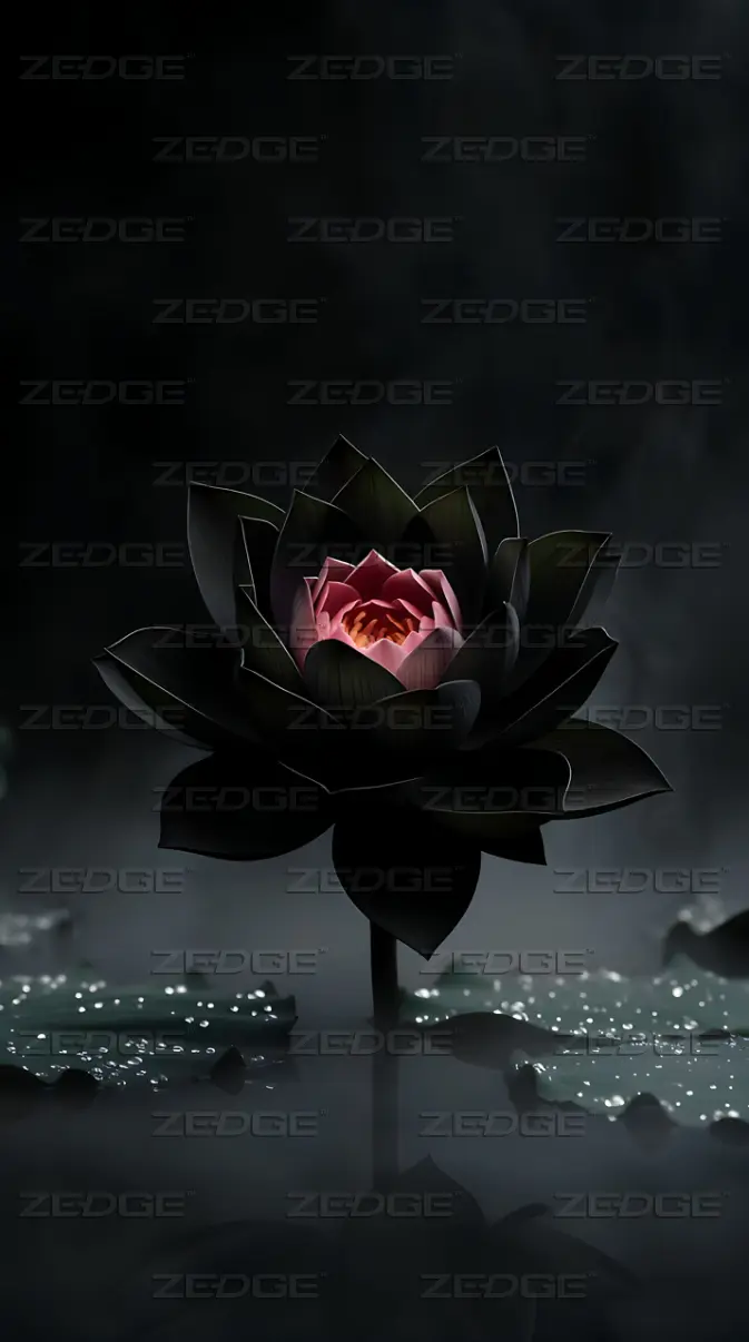 Black Lotus wallpaper