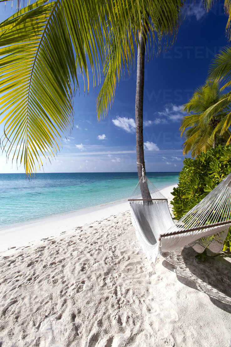 Hammock on tropical beach, Maldives, Indian Ocean, Asia