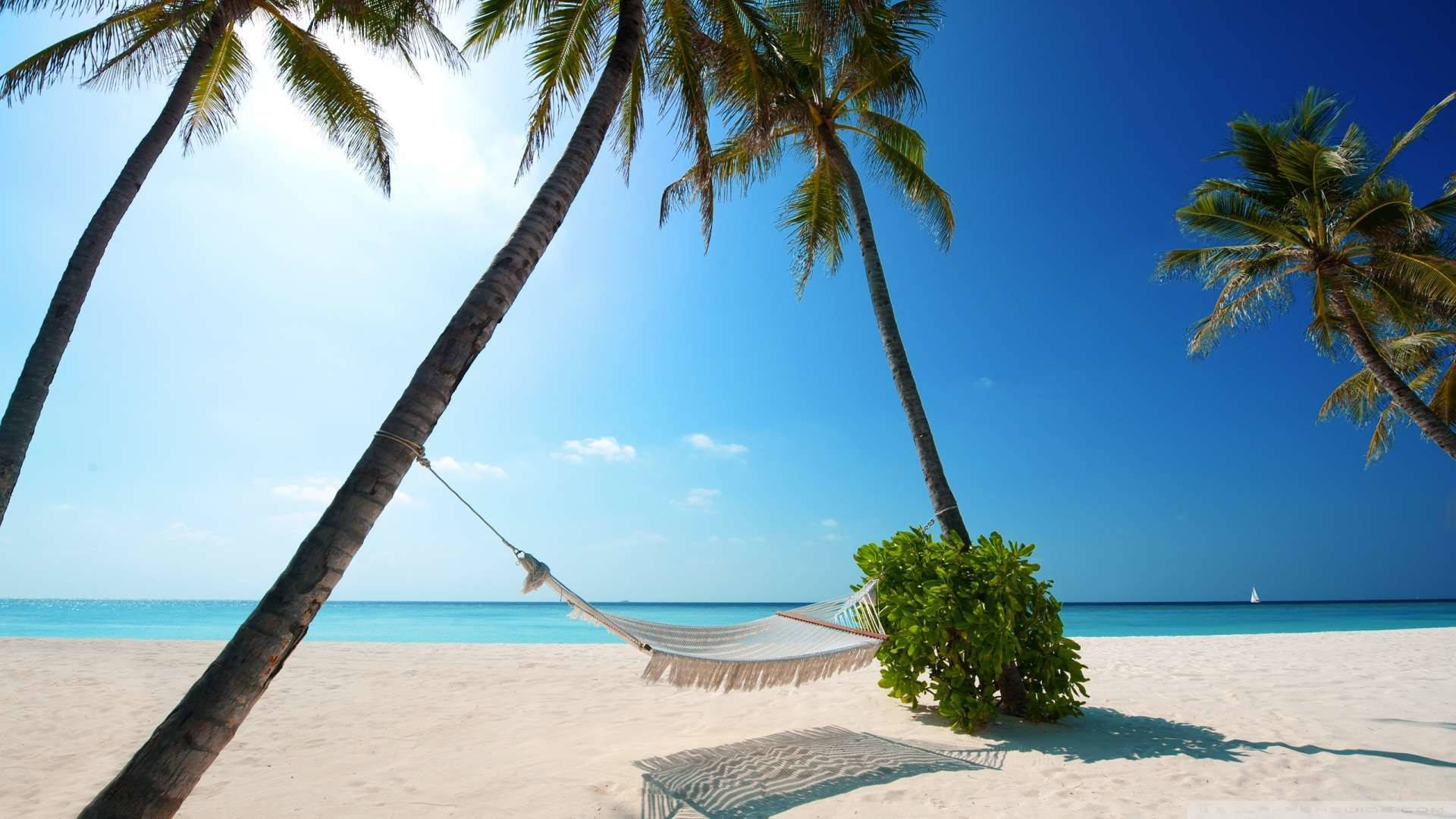 Download Tropical Beach White Sand Hammock Wallpaper