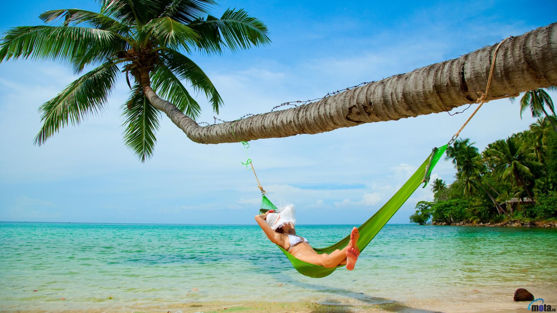 hammock on a beach