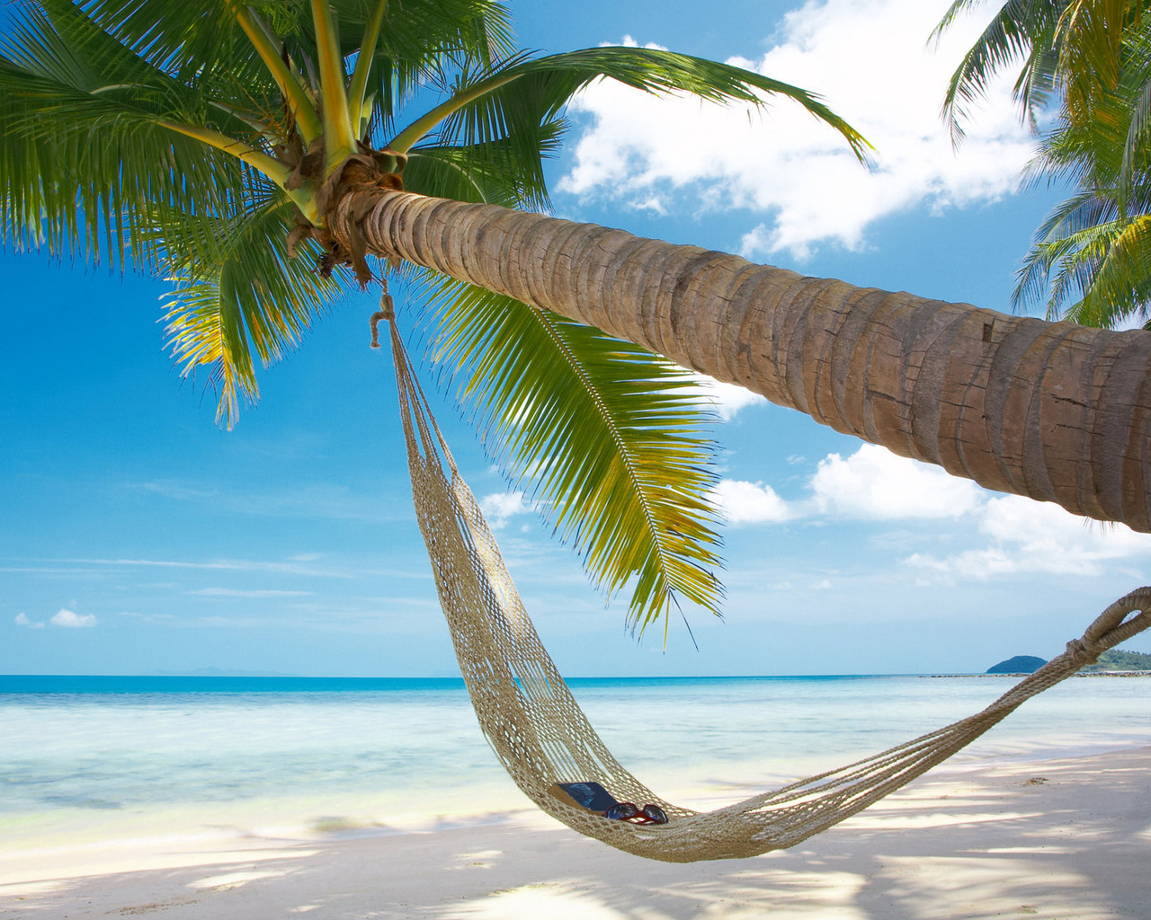 hammock on a beach