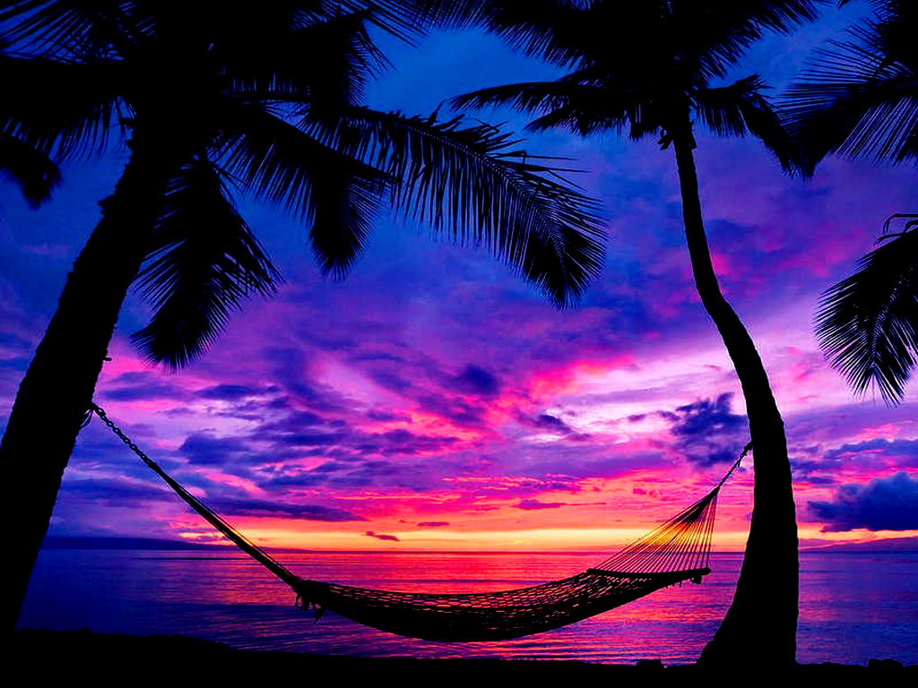 Tropical Beach Sunset With Hammock Wallpaper Free 2015