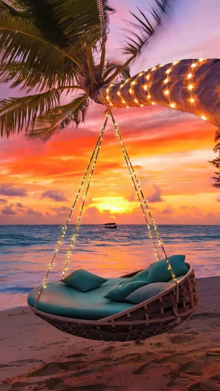Download Sunset Beach Comfy Hammock Picture
