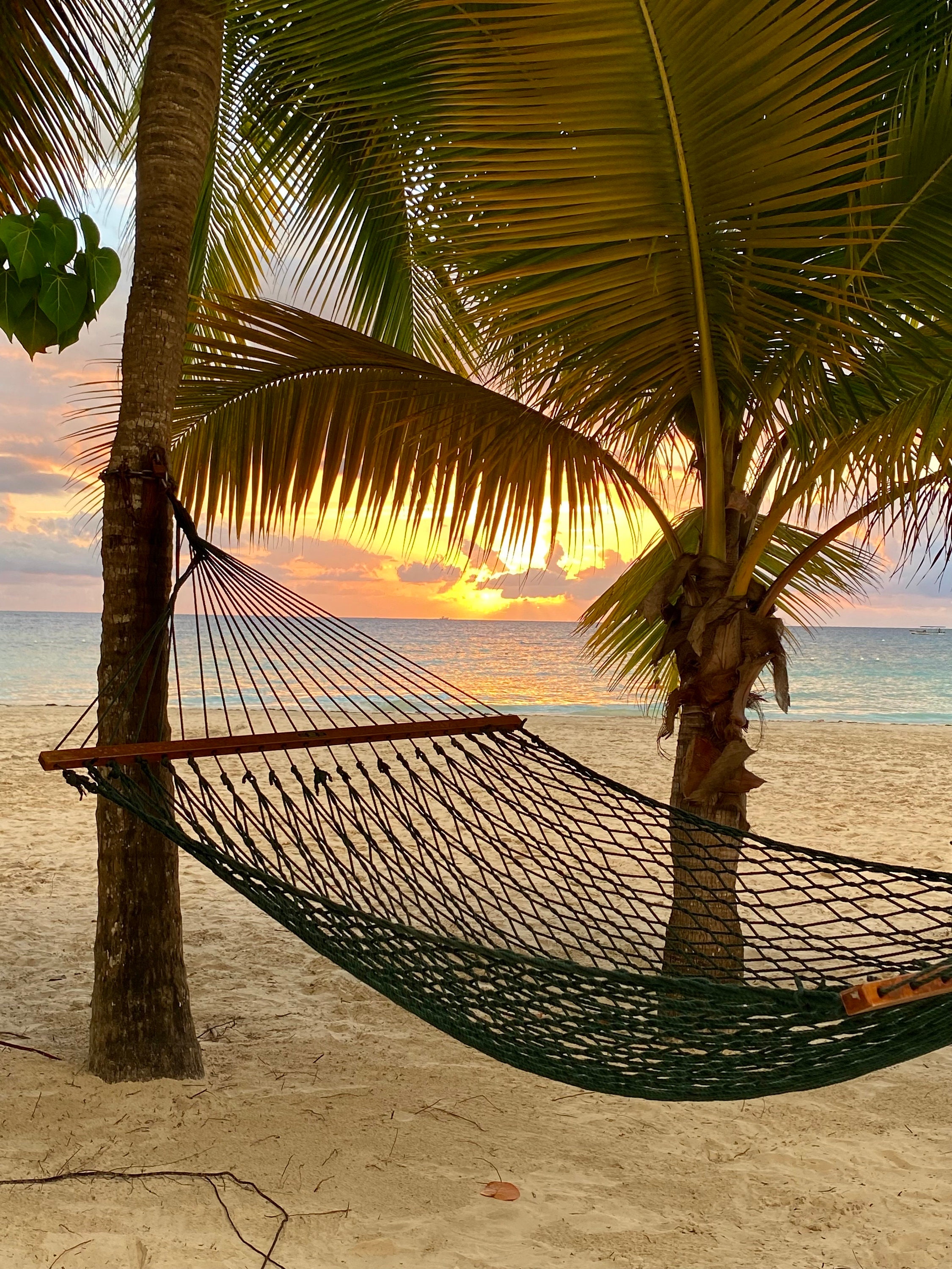 Beach hammock image top