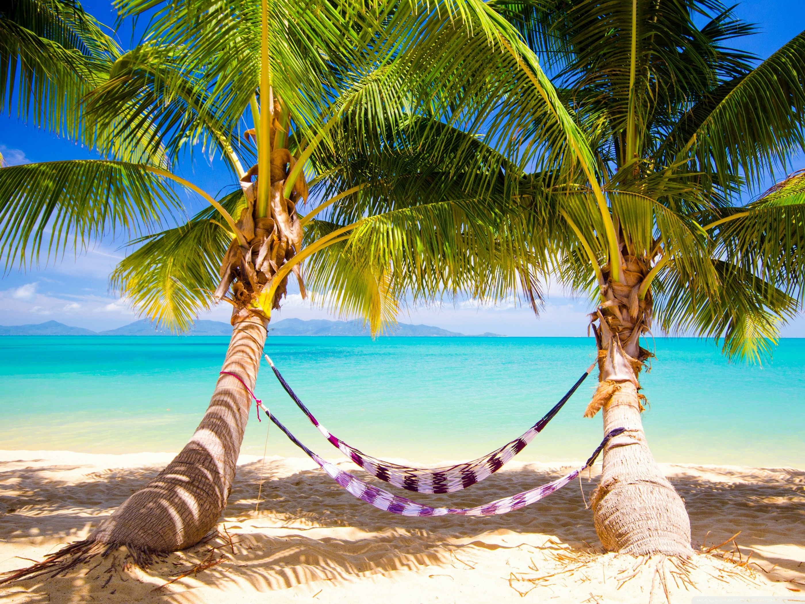 Tropical Beach Hammock 4K UHD Wallpaper for UltraHD Desktop and TV, Widescreen and UltraWide Display, Smartphone and Tablet Devices