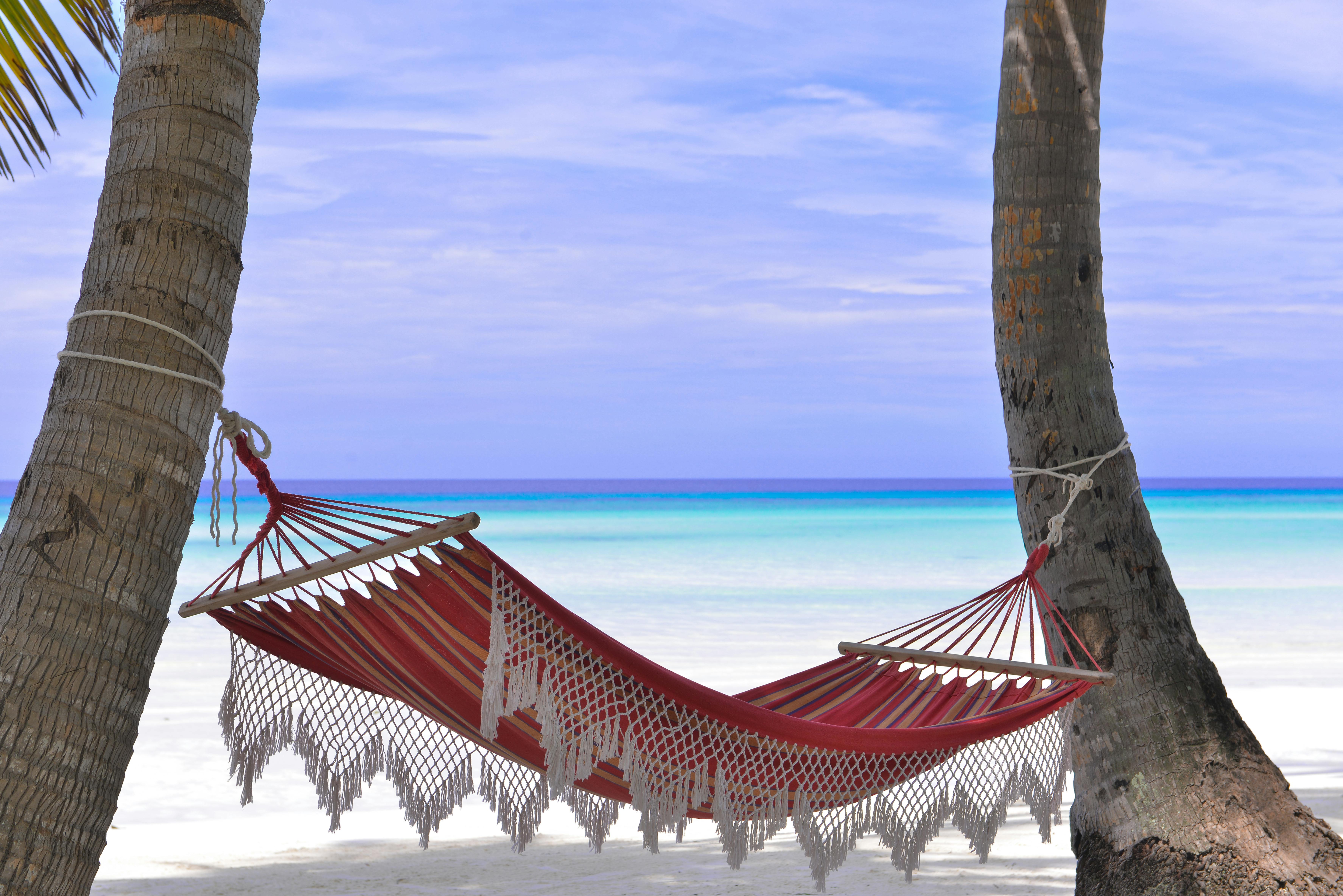 Hammock Photo, Download The BEST Free Hammock & HD Image