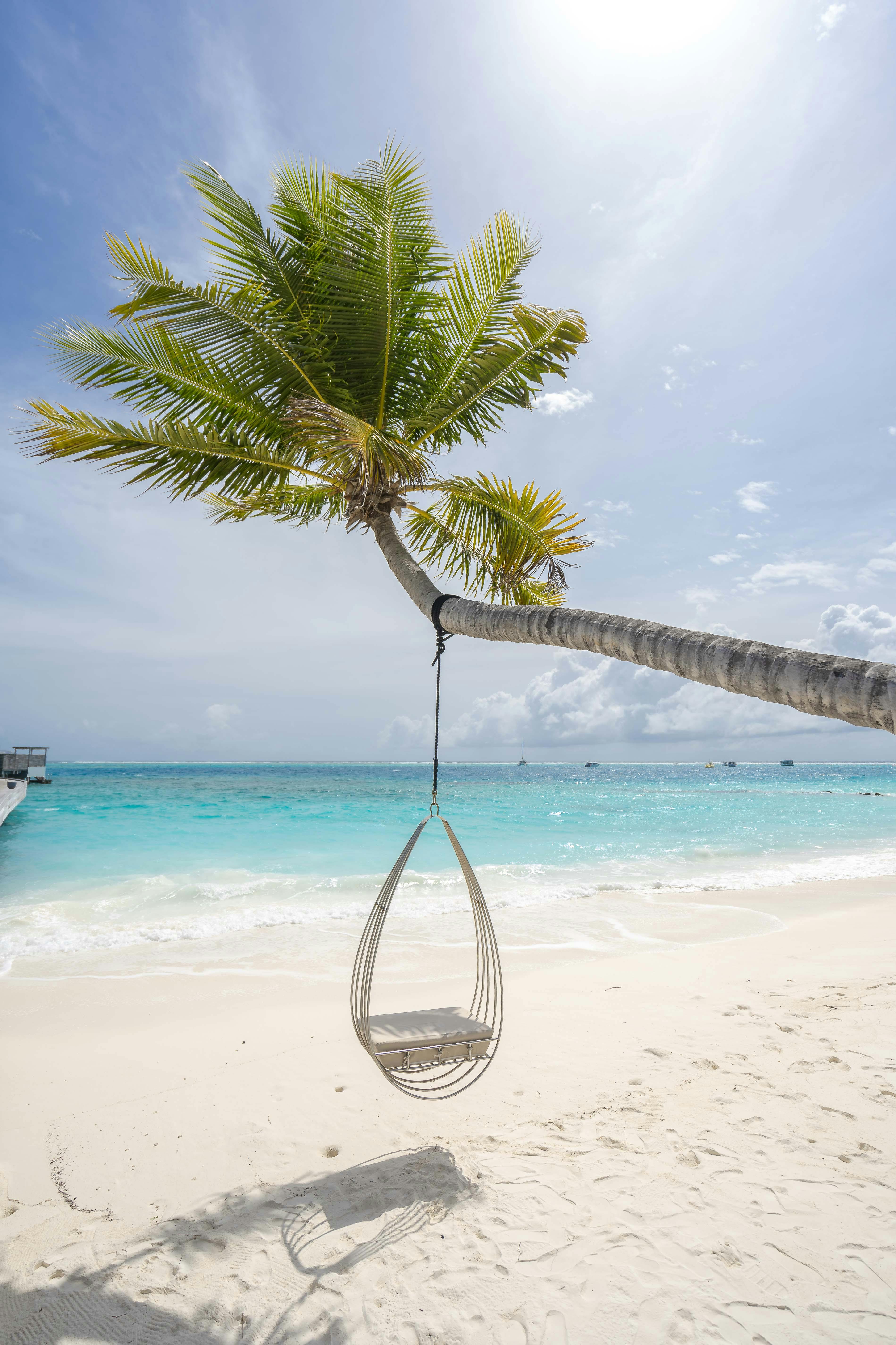 A Hammock on a Beach · Free