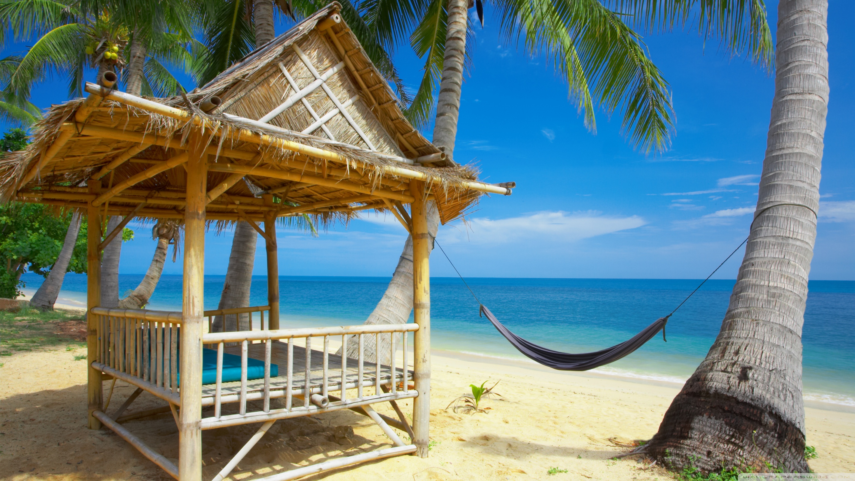 Hammock On The Beach 4K UHD Wallpaper for UltraHD Desktop and TV, Widescreen and UltraWide Display, Smartphone and Tablet Devices