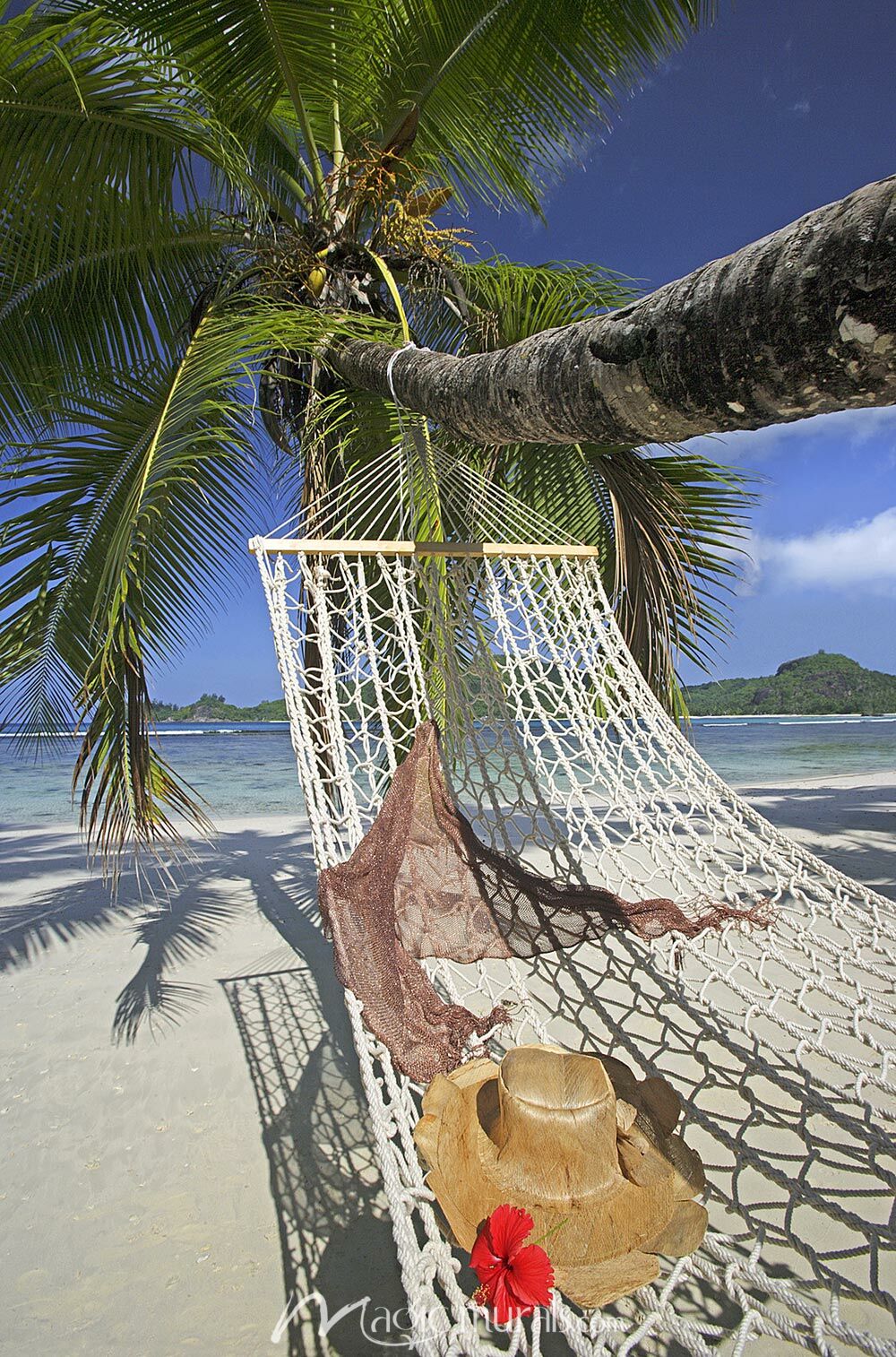 Hat on Hammock Wallpaper Wall Mural
