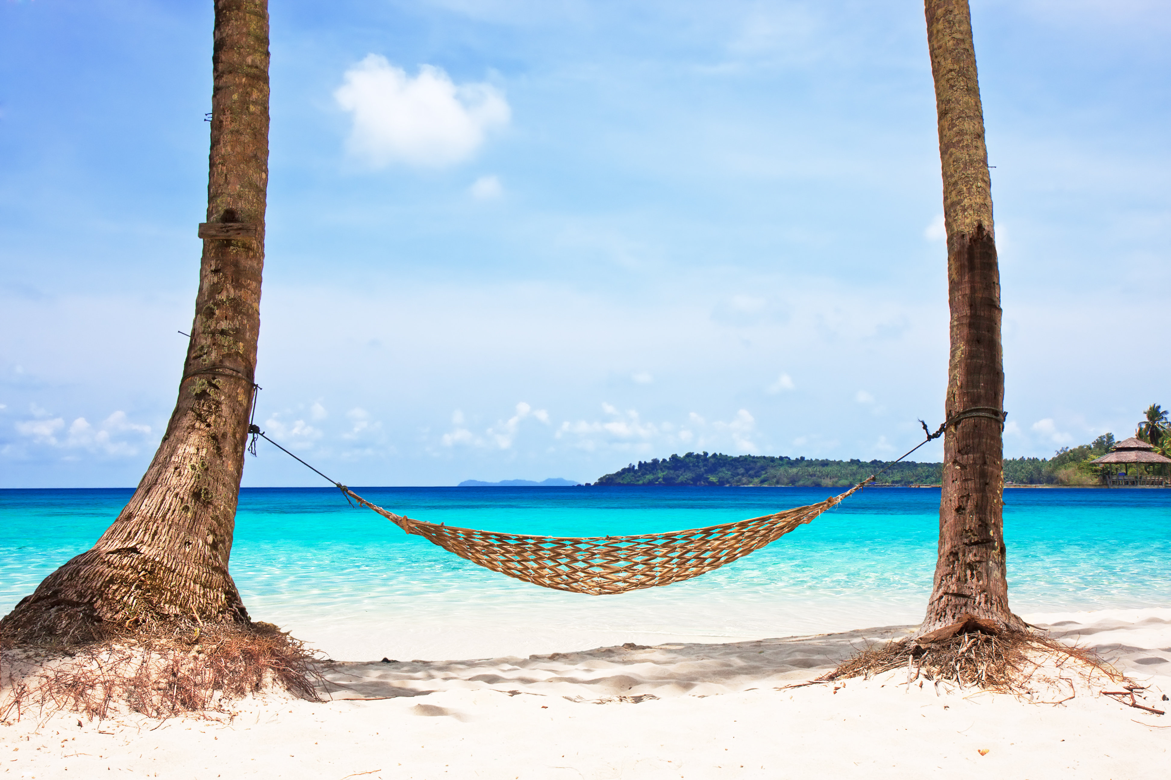Highland Dunes Hammock Between Trees by Preto_Perola Canvas Photograph