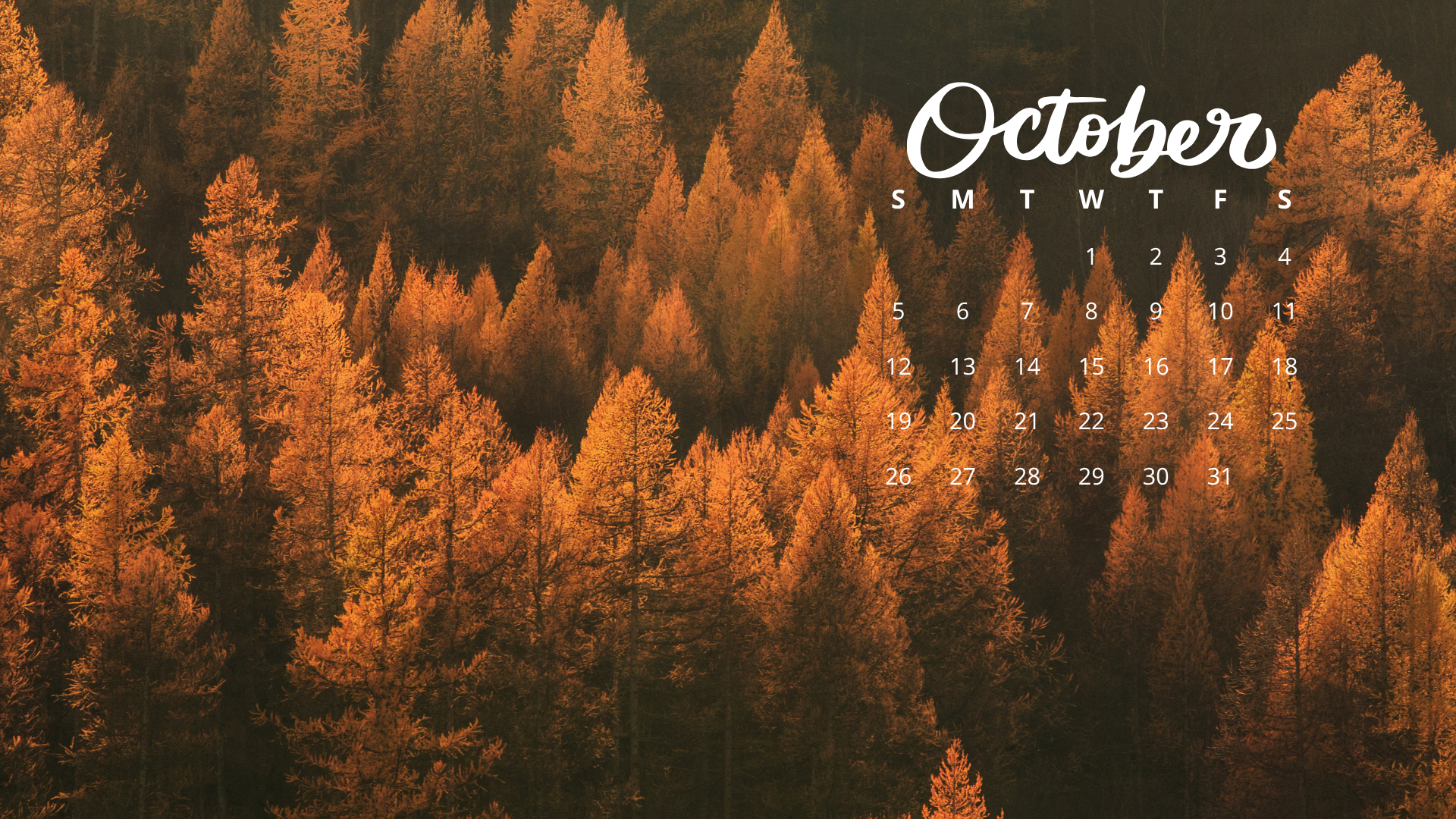 Free October 2025 Desktop Calendar Background (EASY DOWNLOAD)