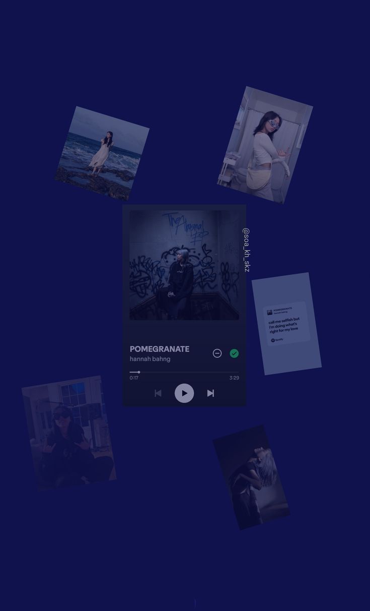 Hannah Bahng pomegranate wallpaper