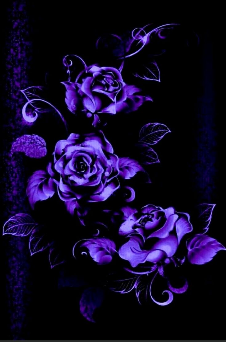 Purple Roses Wallpaper