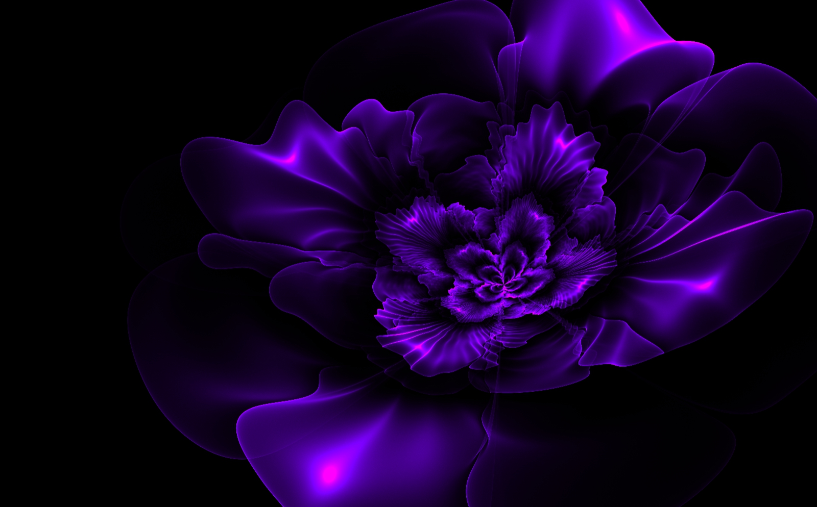 Dark Purple Flowers Wallpapers - Wallpaper Cave, image size:1600x994