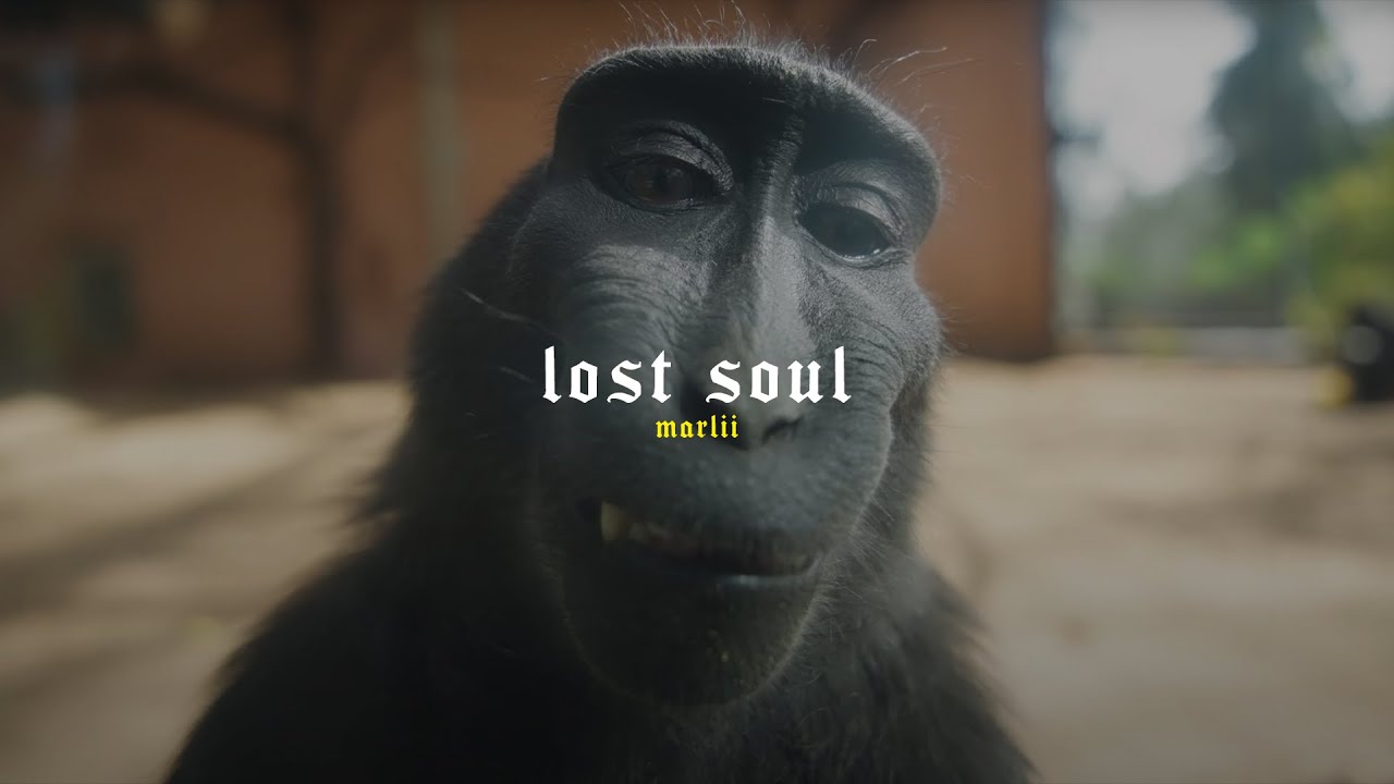 Lost Soul Monkey (Slowed+ reverb)