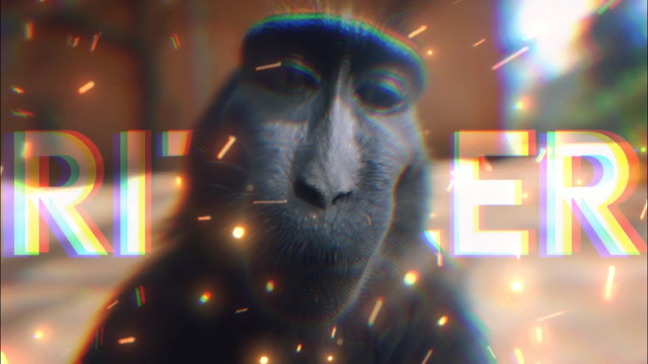 Monkey Rizzler 『4k Ultra HD 』