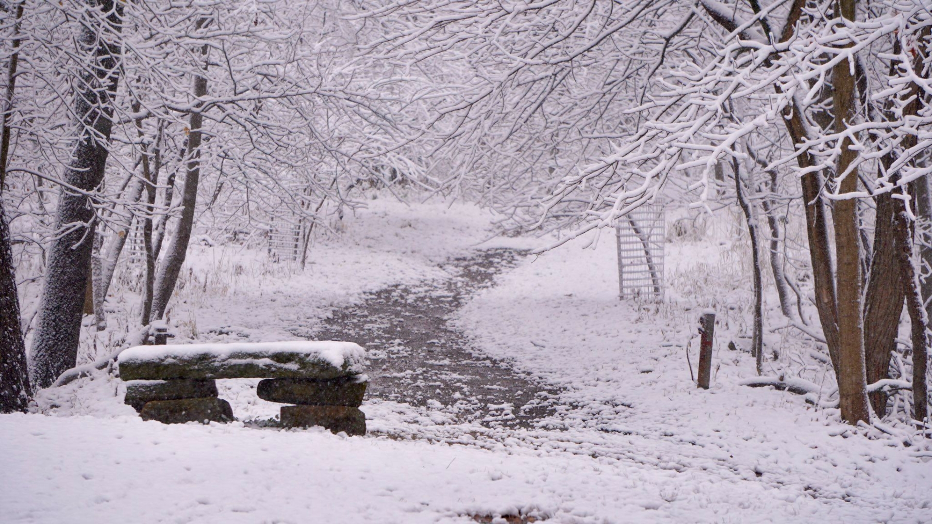 PITTSBURGH WEATHER: Difference between snow flurries, snow showers and snow squalls and their impact on drivers