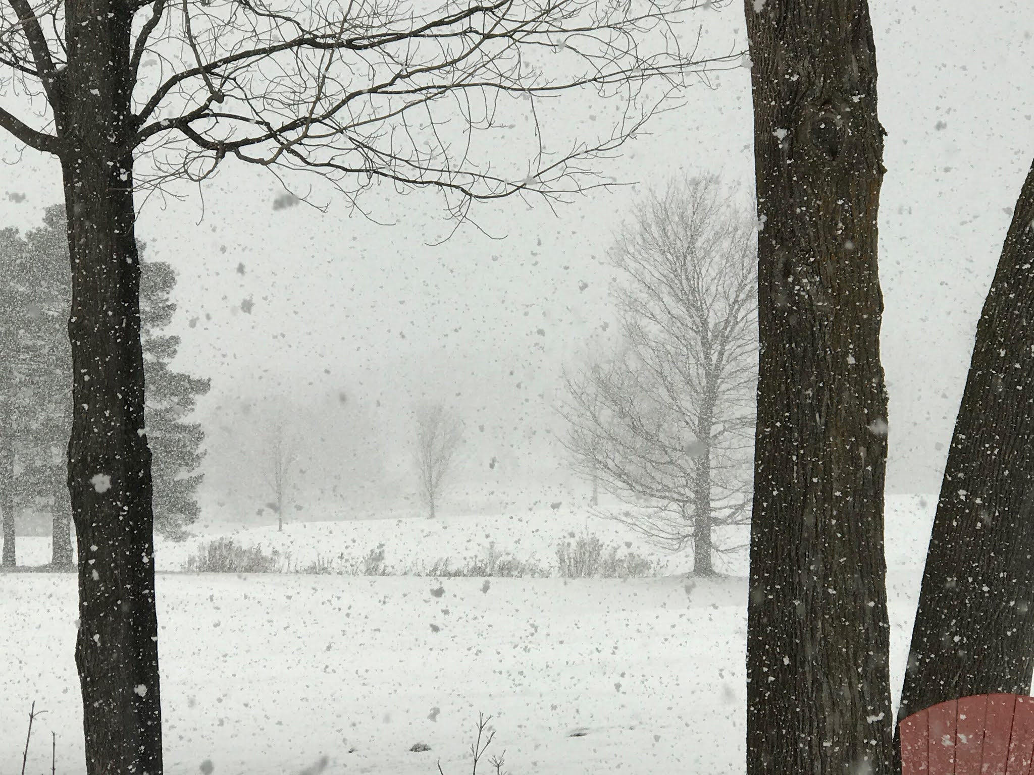 Seasons in the Valley + Furry Gnome's Adventures: Snow Flurry