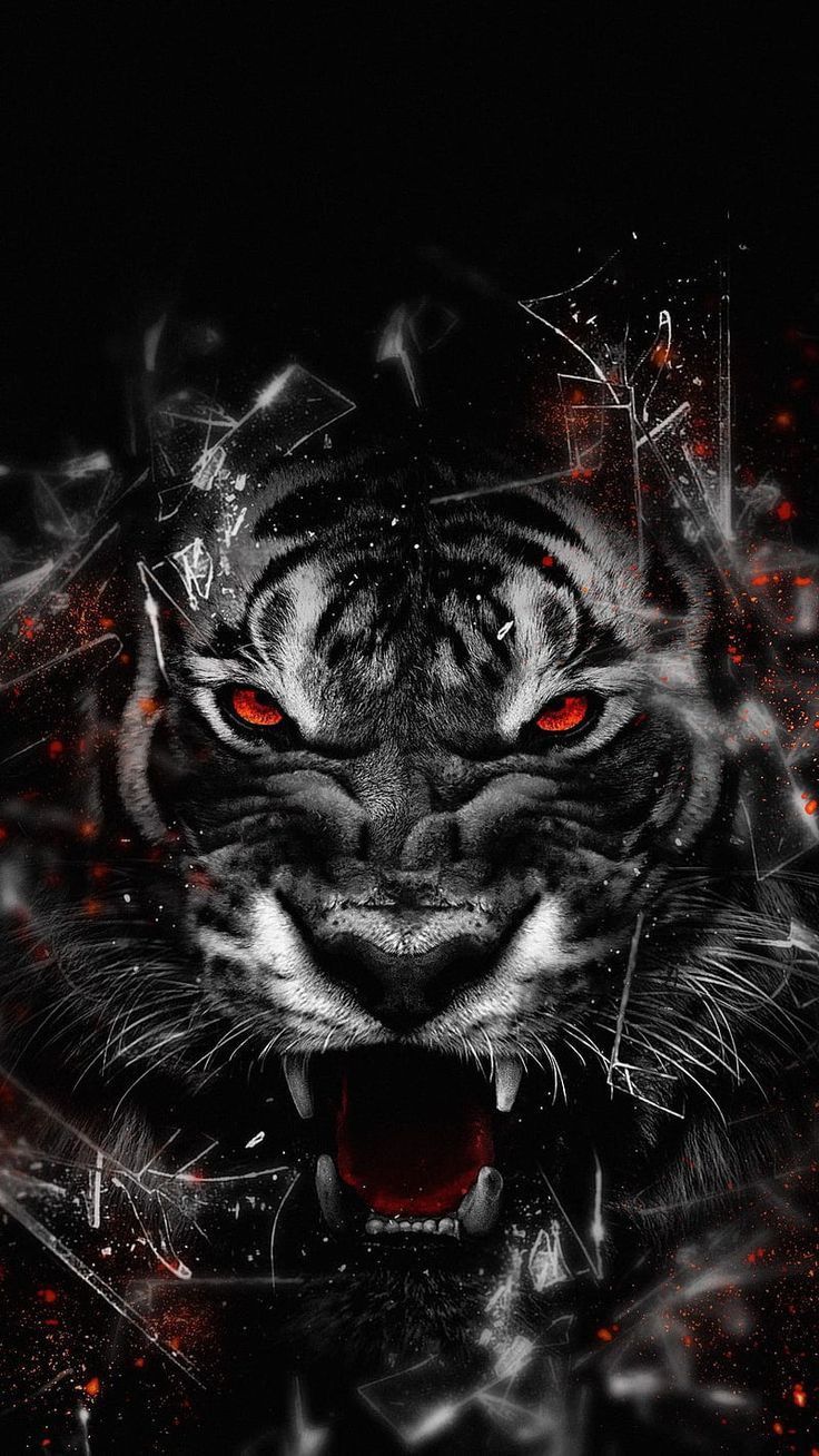 Zzzz!!!. Tiger picture, Tiger wallpaper, Tiger artwork