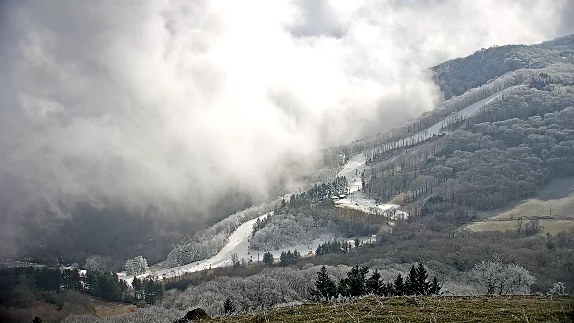 Snow Flurries in the Air