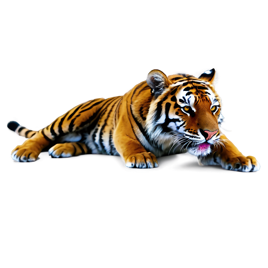 Download Tiger Attack Png Osm