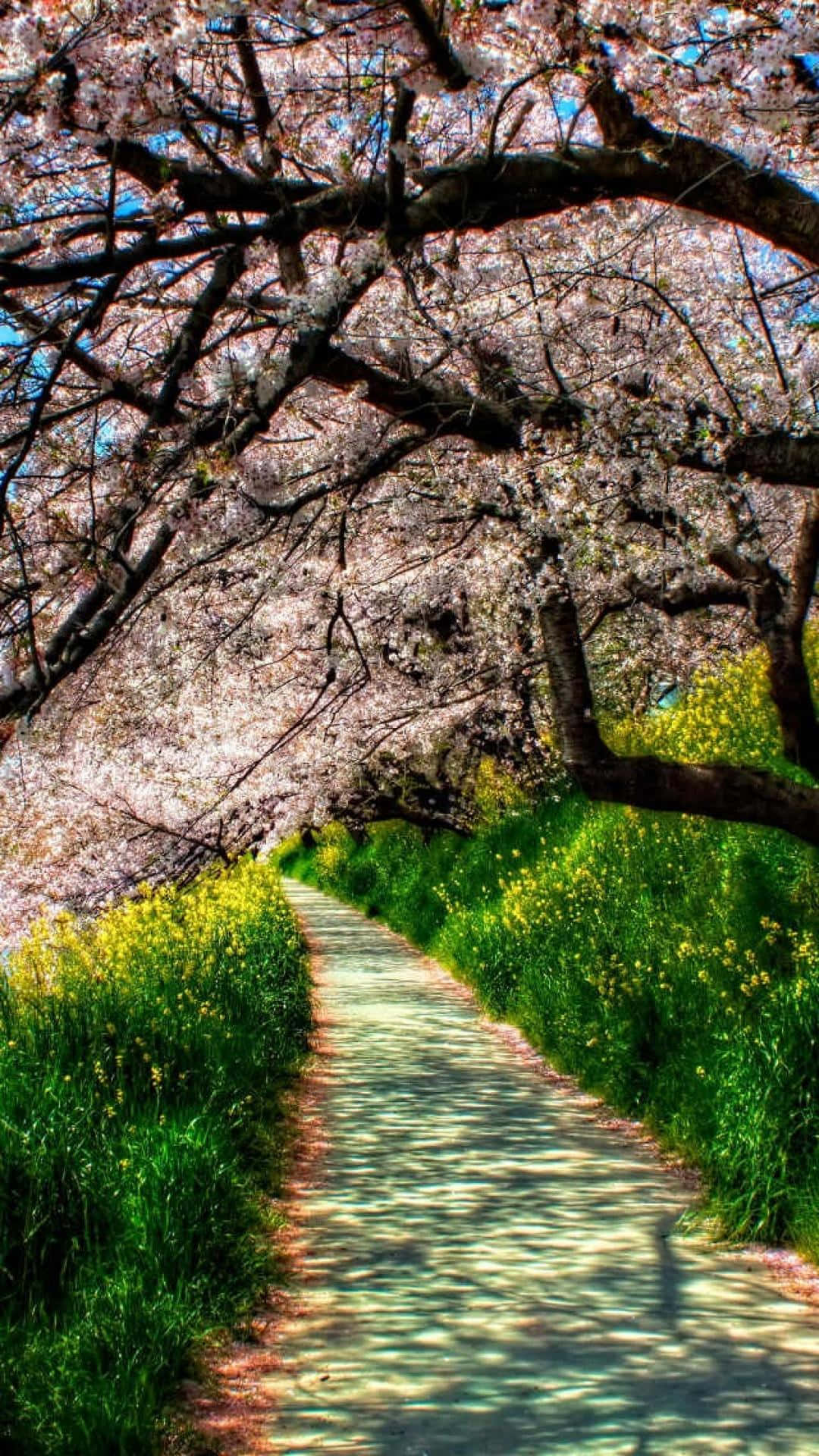 Spring Weather Wallpapers - Wallpaper Cave
