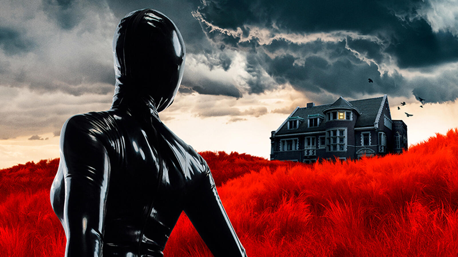 American Horror Stories: Trailer, Cast, Release Date and Everything Else We Know