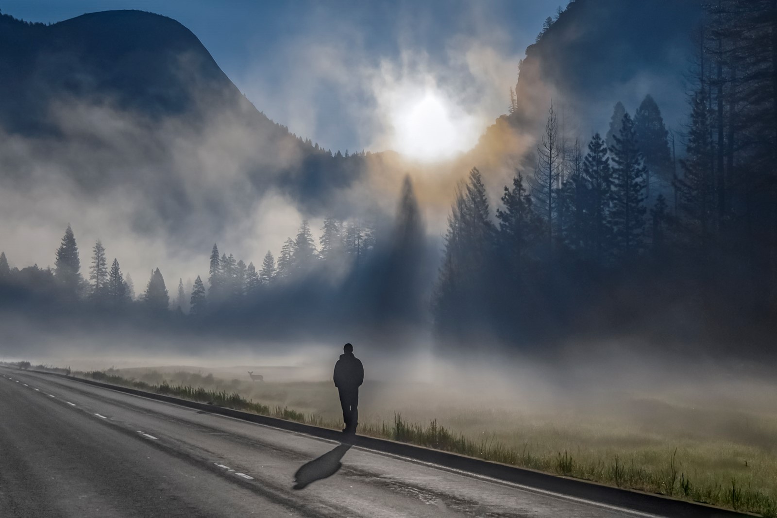 Tyndall effect in nature, Digital Photography Review