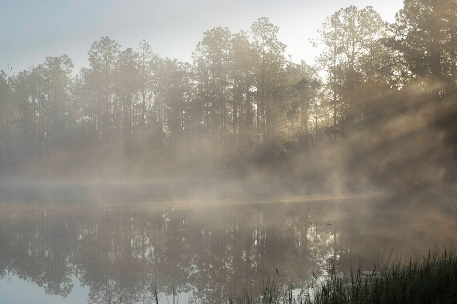 Tyndall effect in nature, Digital Photography Review